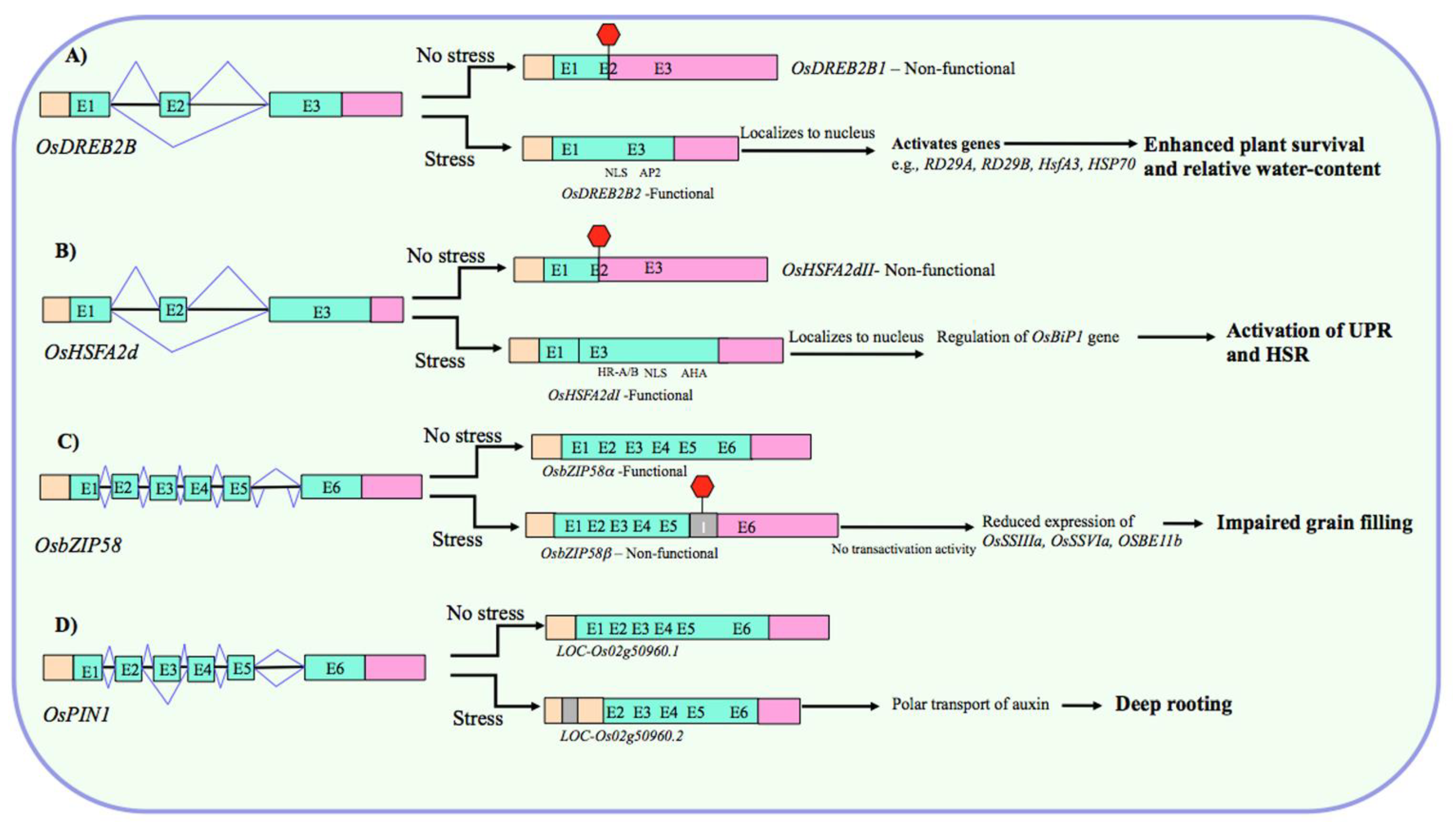 Biology 10 00309 g002 Biology 10 00309 g002