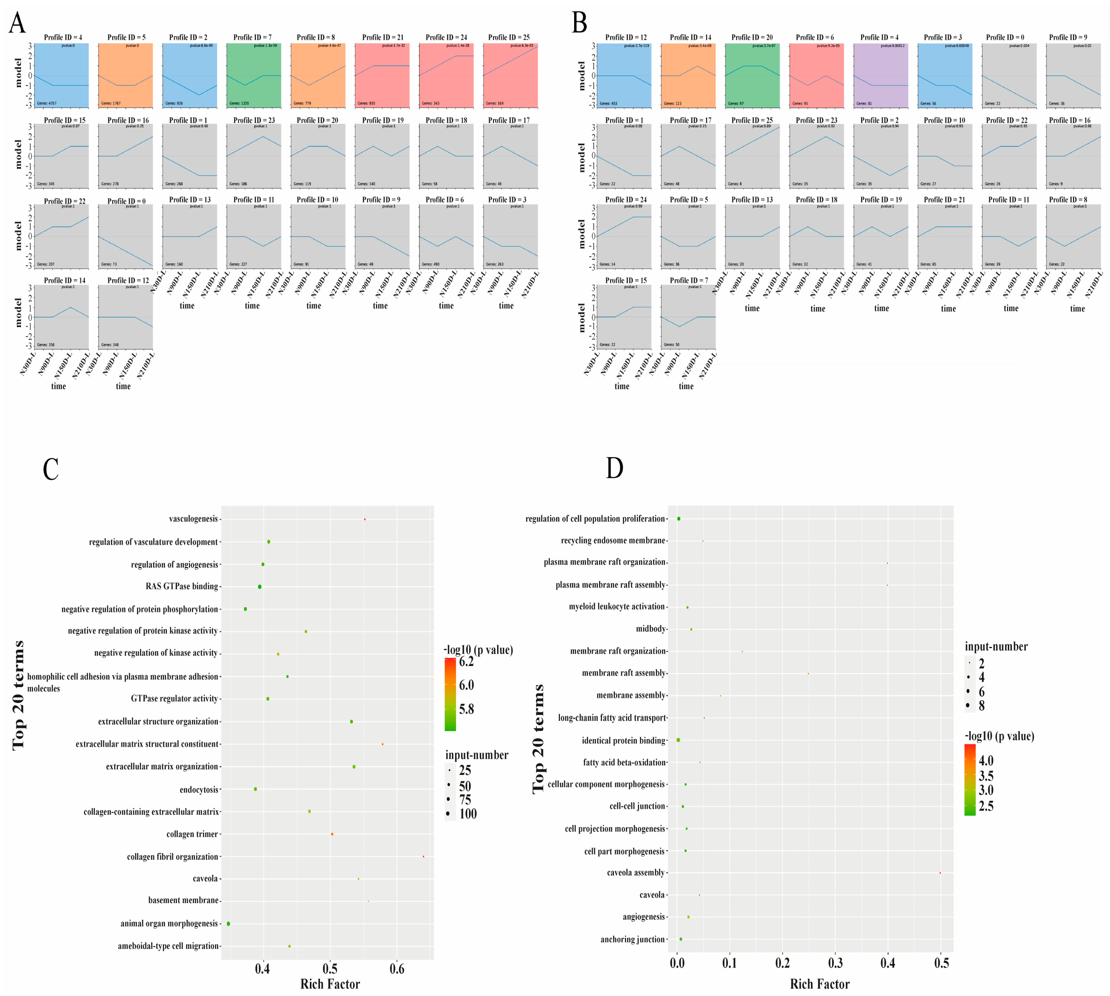 Biology 10 00310 g004