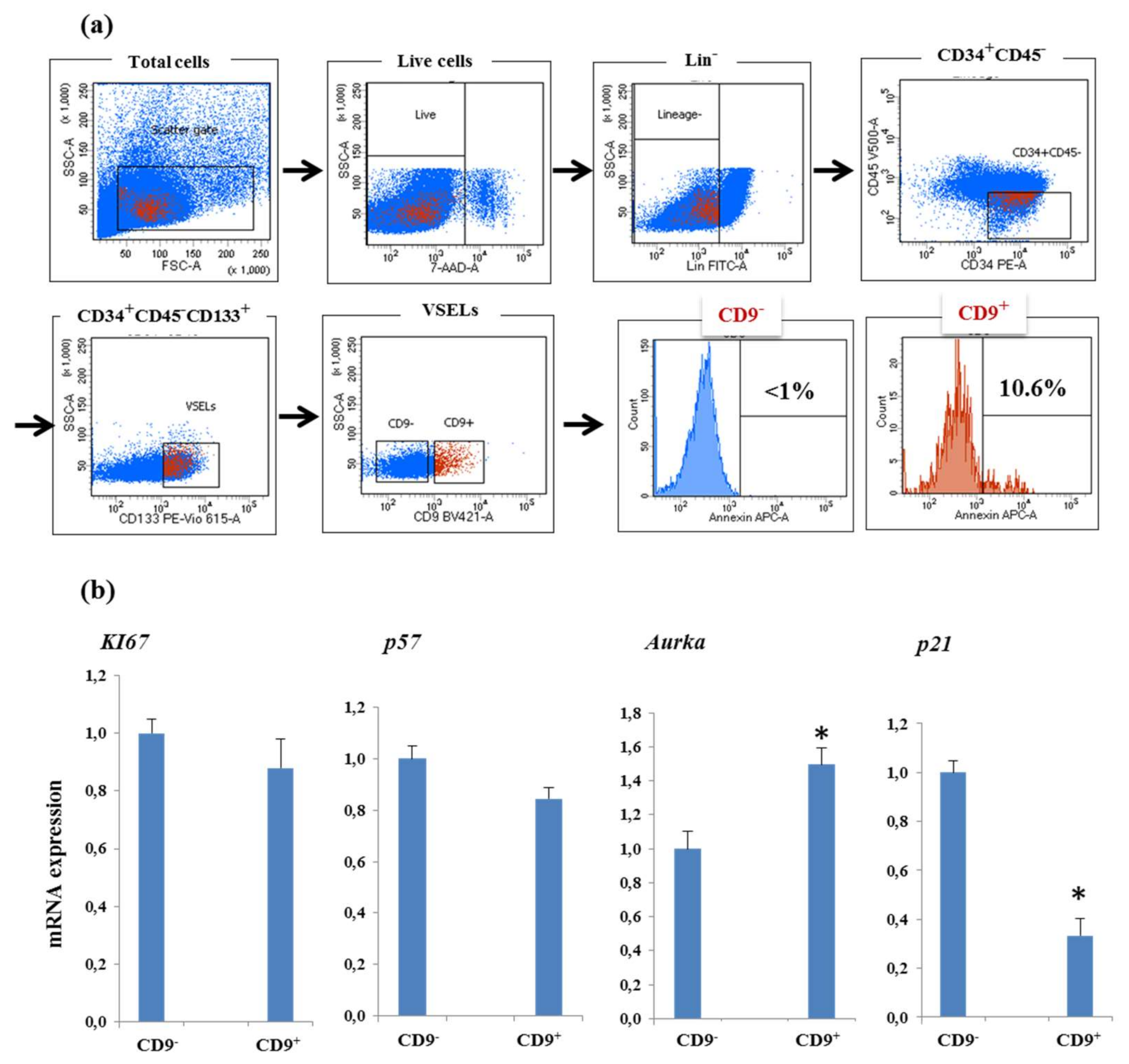Biology 10 00312 g005