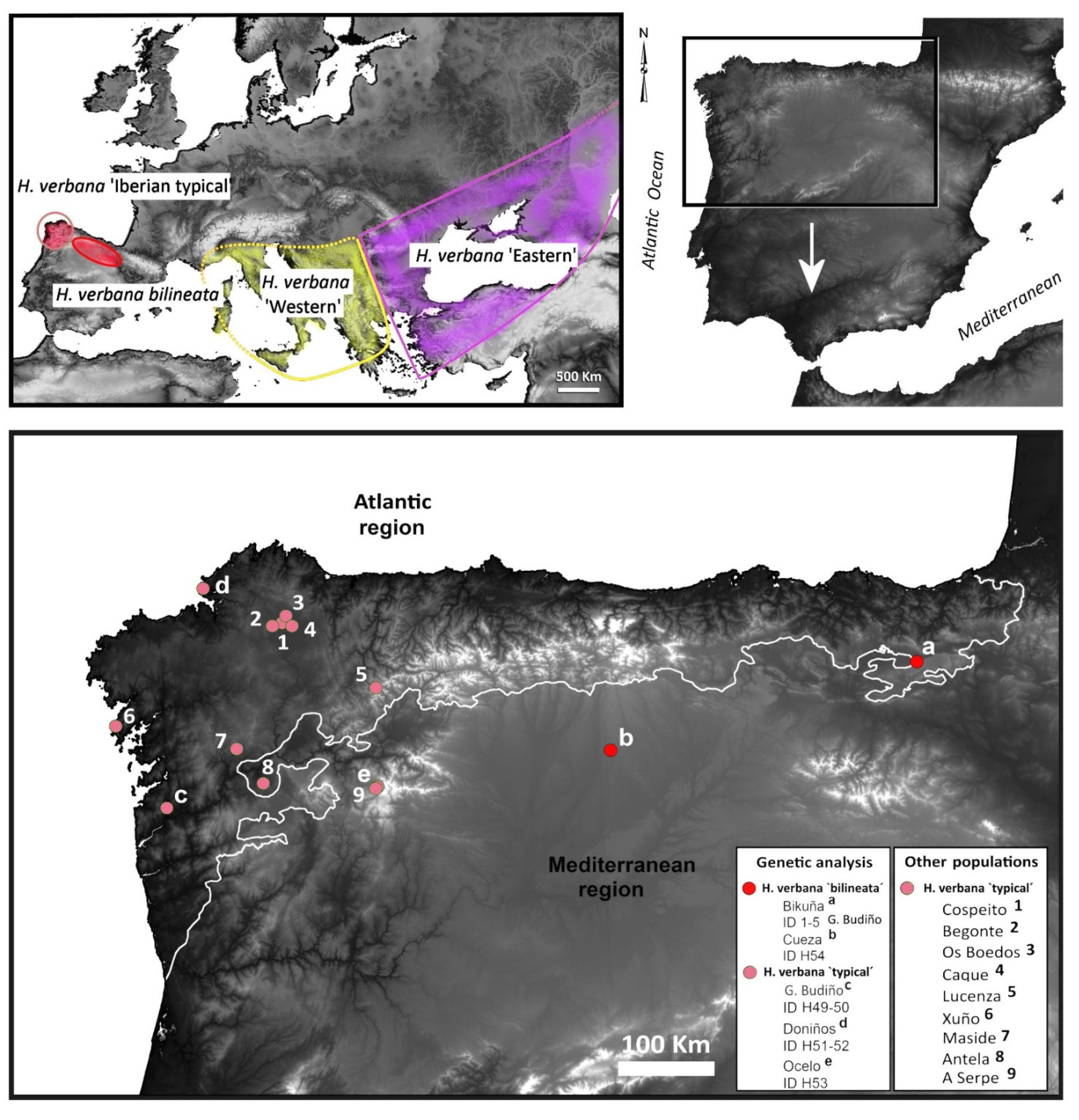 Etymology, PDF, Iberian Peninsula