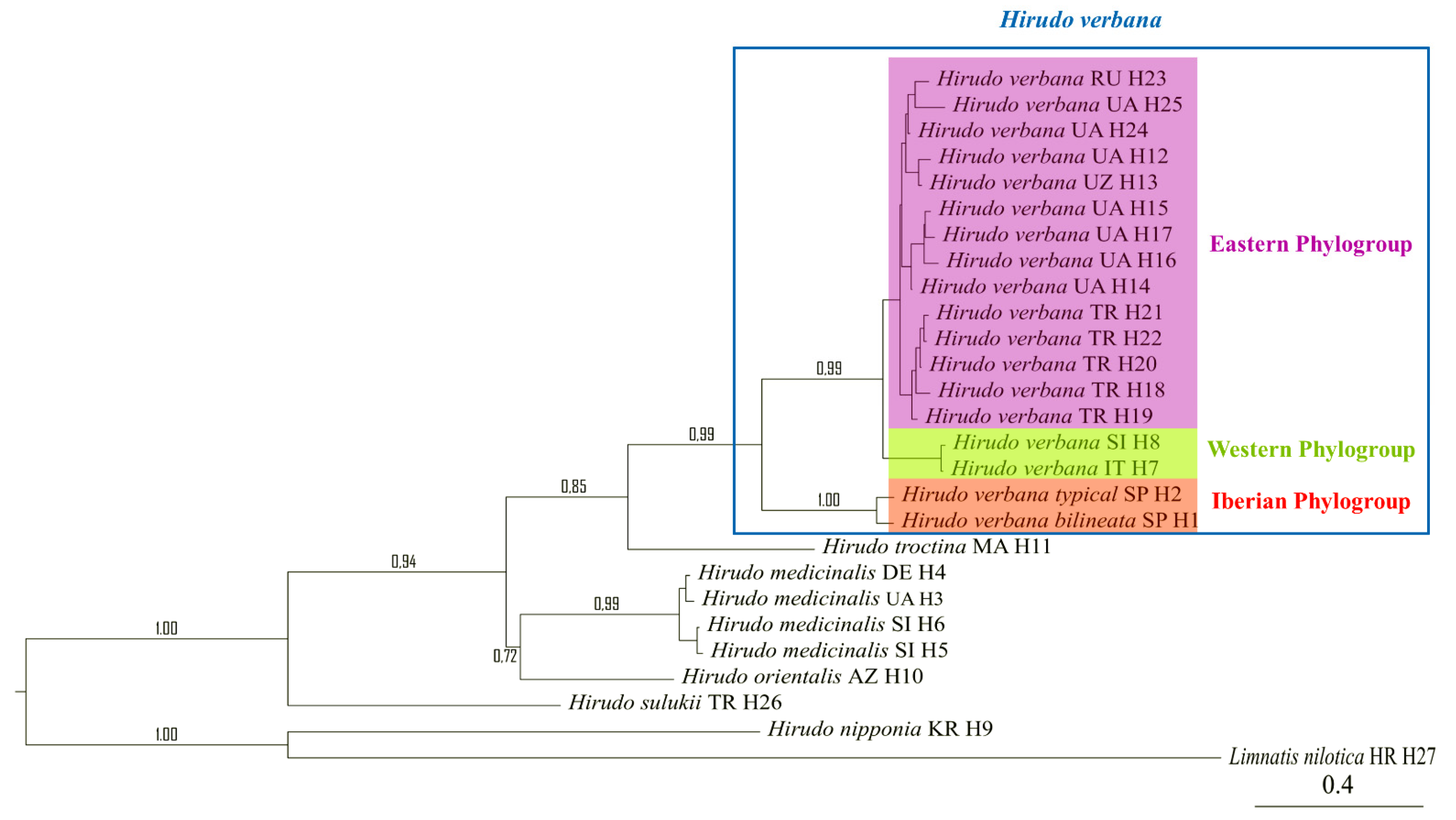 Biology 10 00315 g002 Biology 10 00315 g002