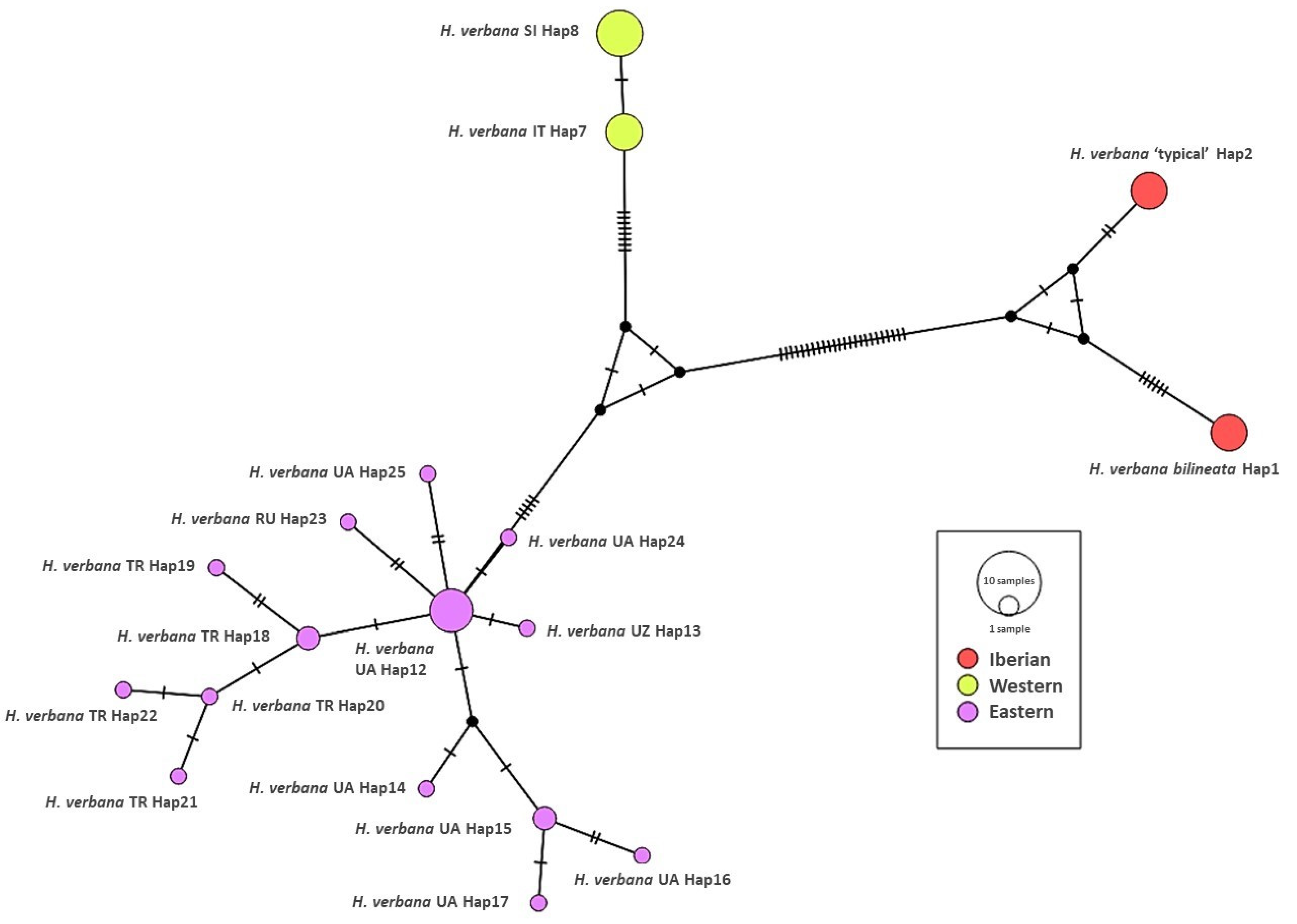 Biology 10 00315 g003 Biology 10 00315 g003