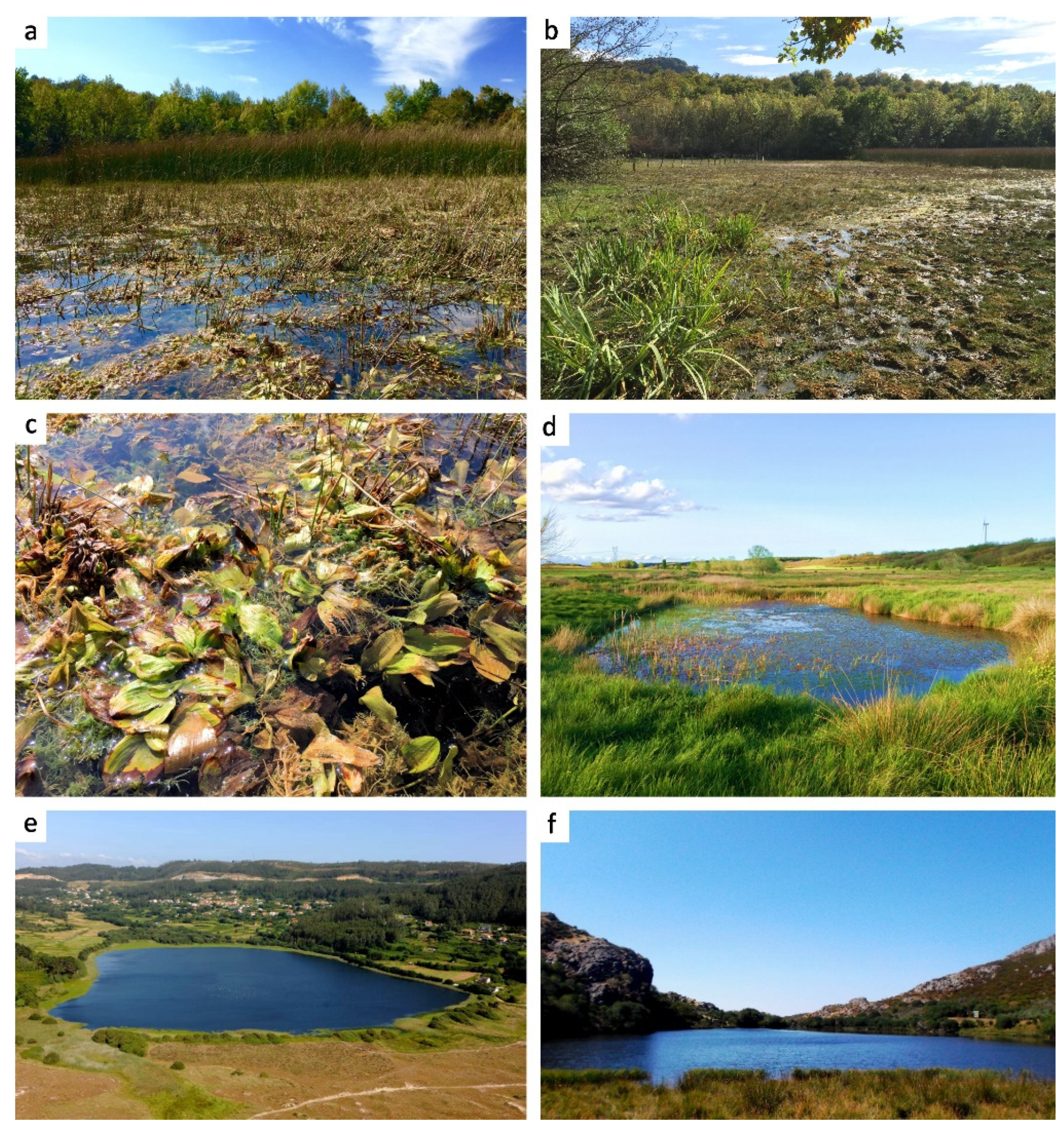 Biology 10 00315 g008 Biology 10 00315 g008