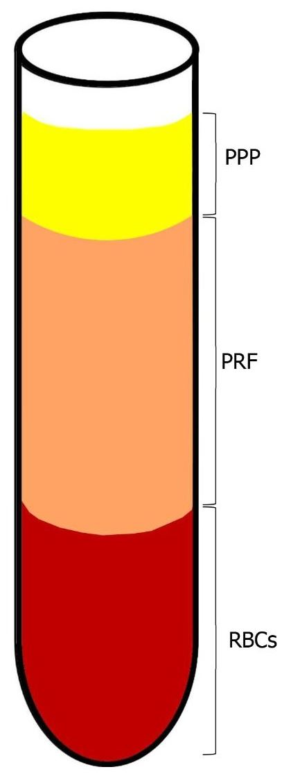 Biology 10 00317 g002