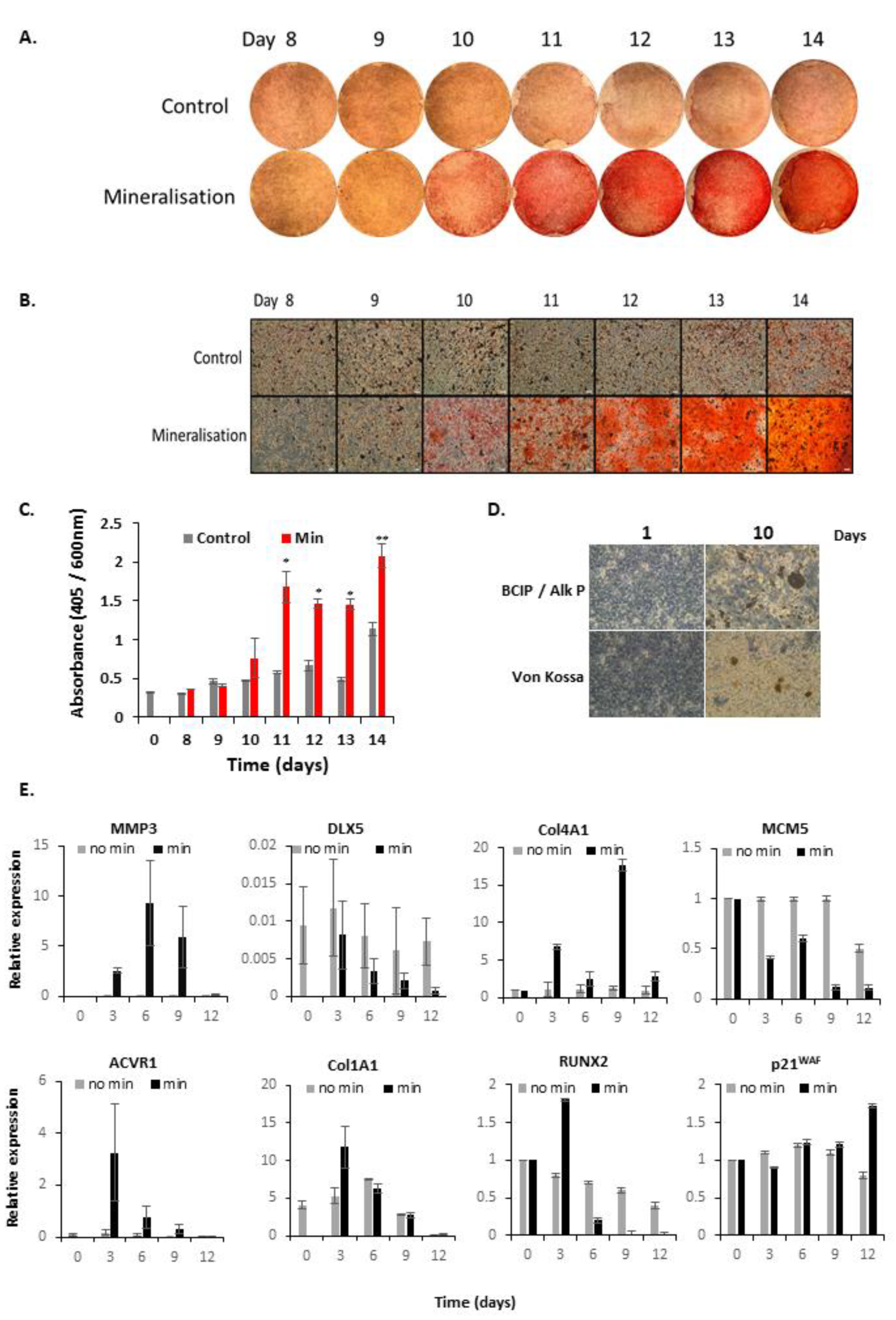 Biology 10 00318 g001