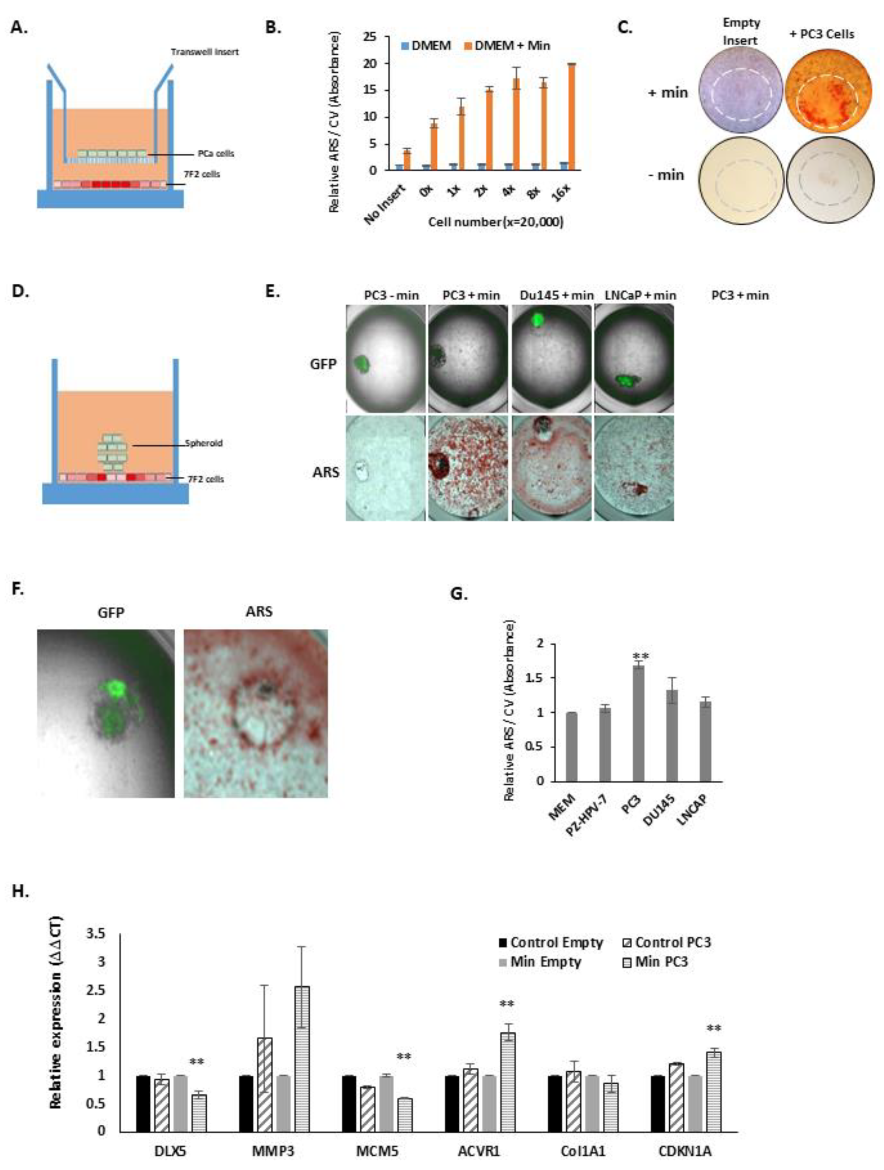 Biology 10 00318 g002