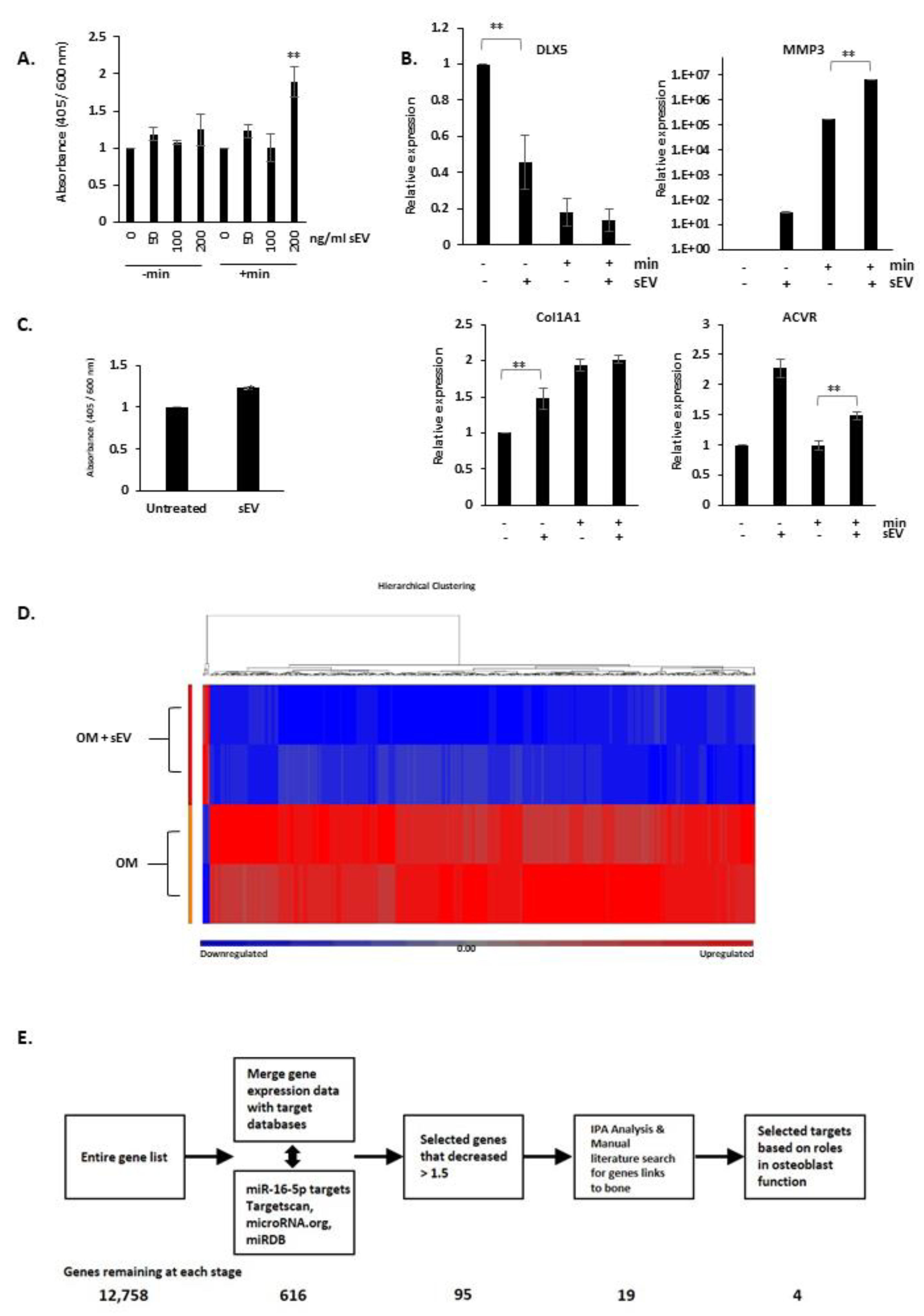 Biology 10 00318 g005