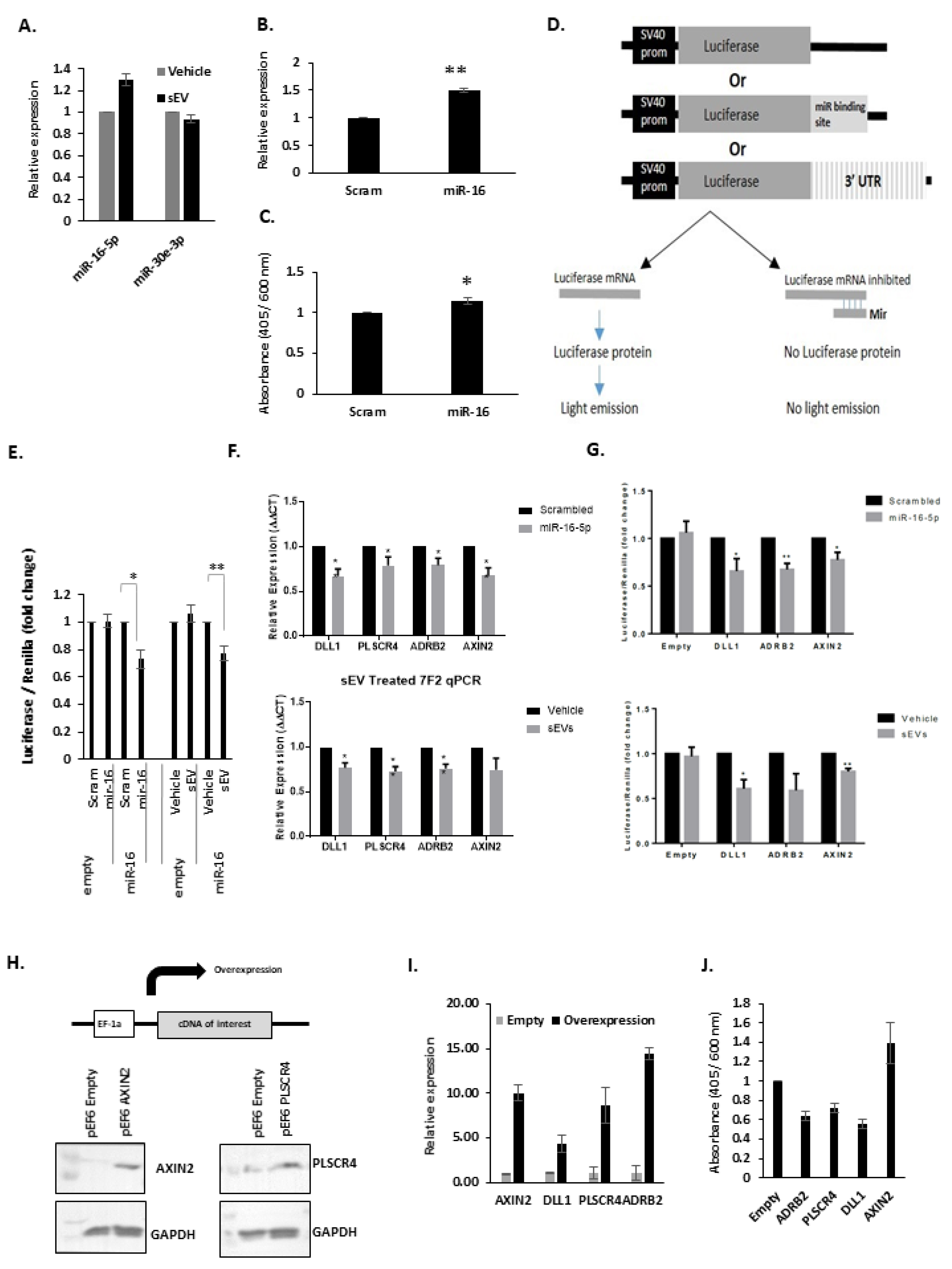Biology 10 00318 g006