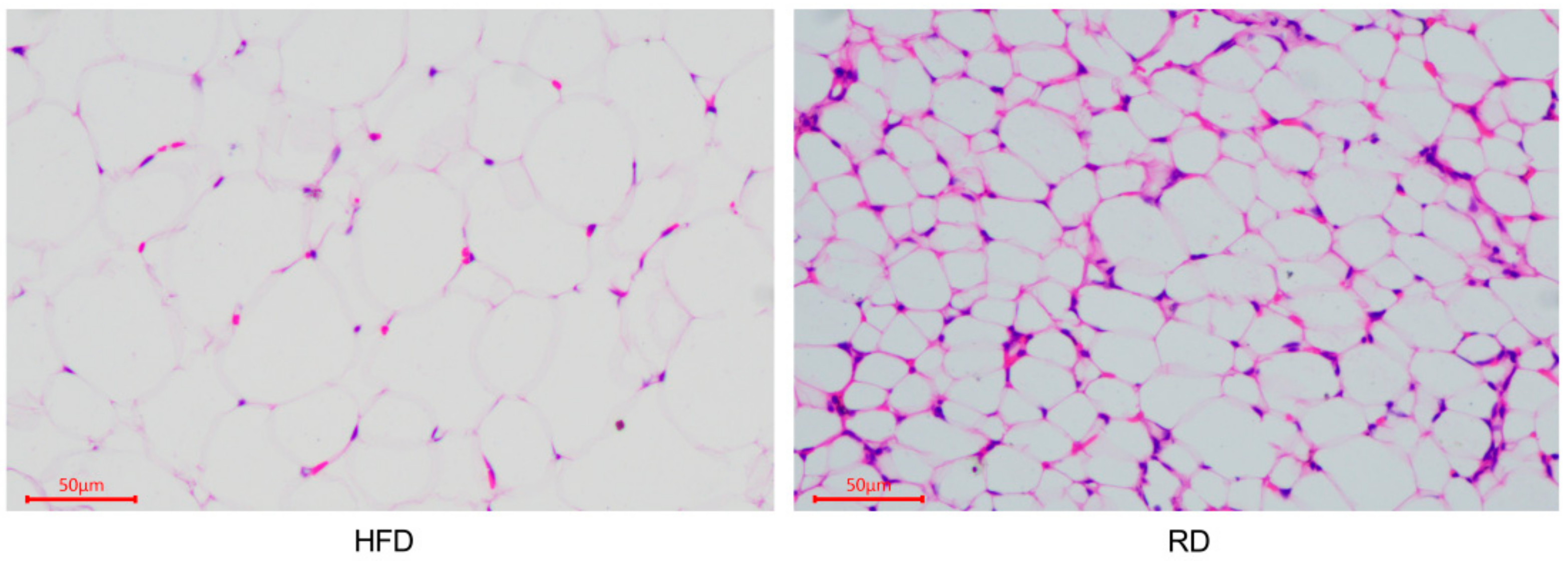Biology 10 00321 g001 Biology 10 00321 g001