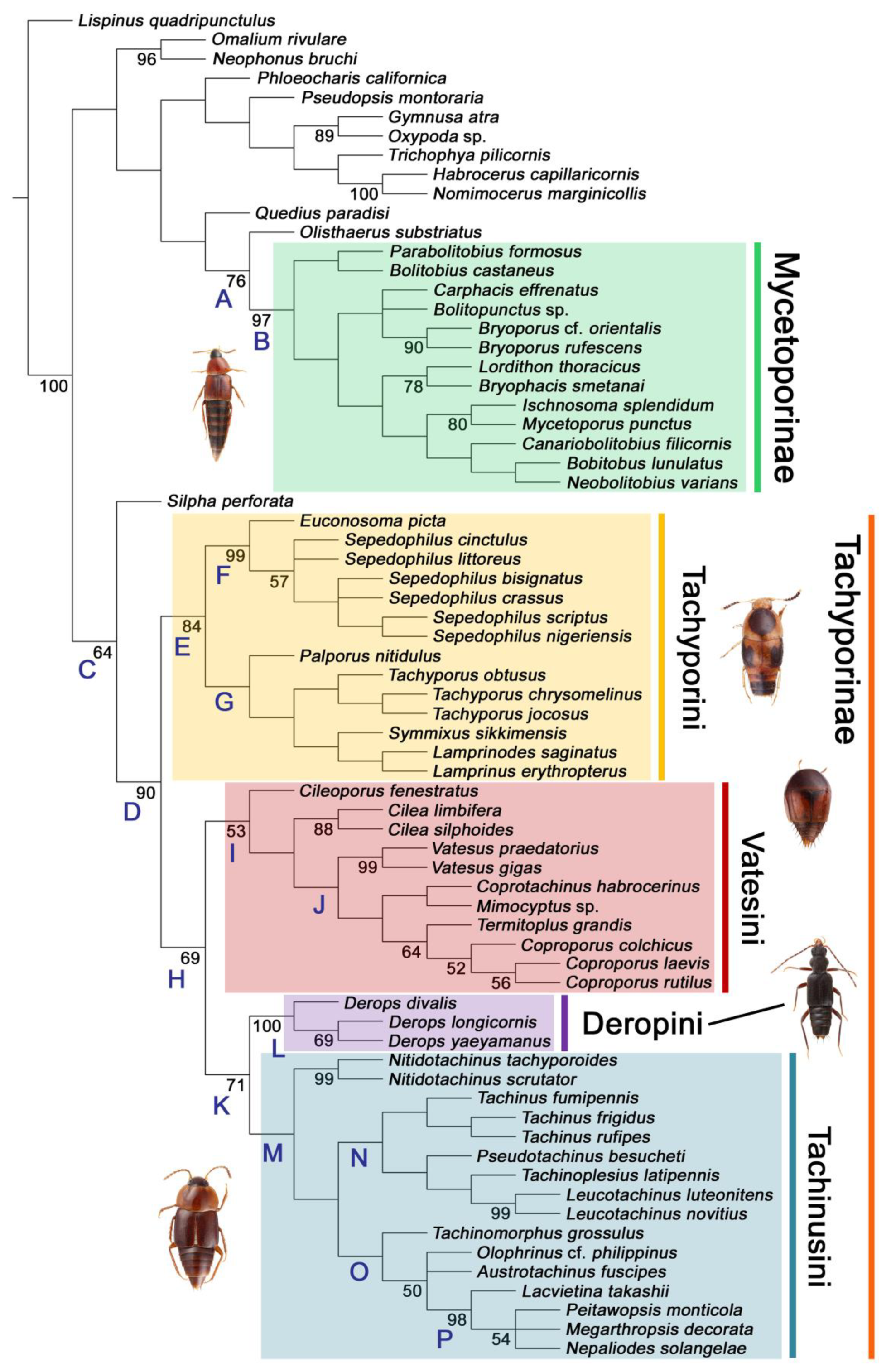 Biology 10 00323 g003
