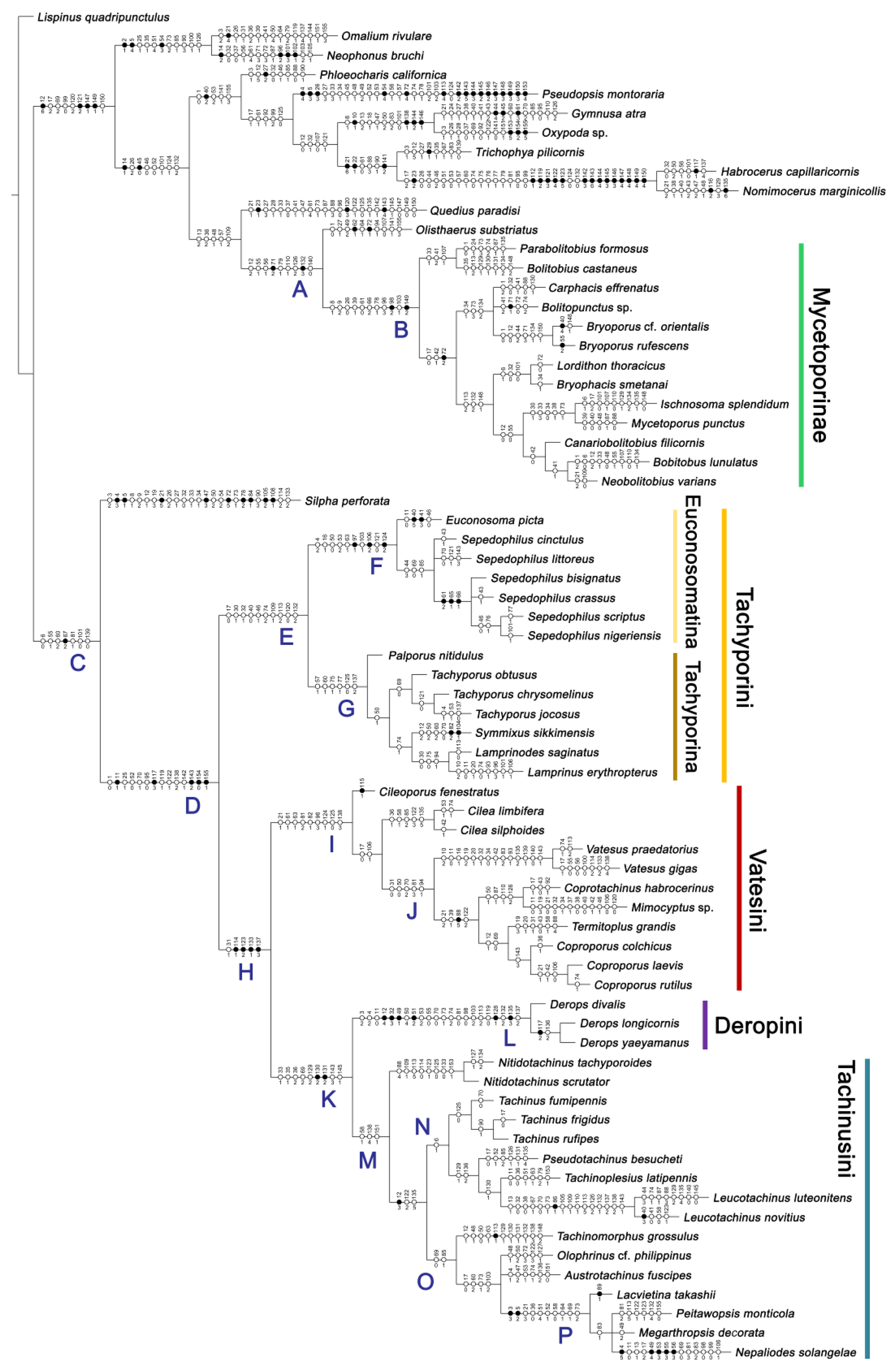 Biology 10 00323 g004