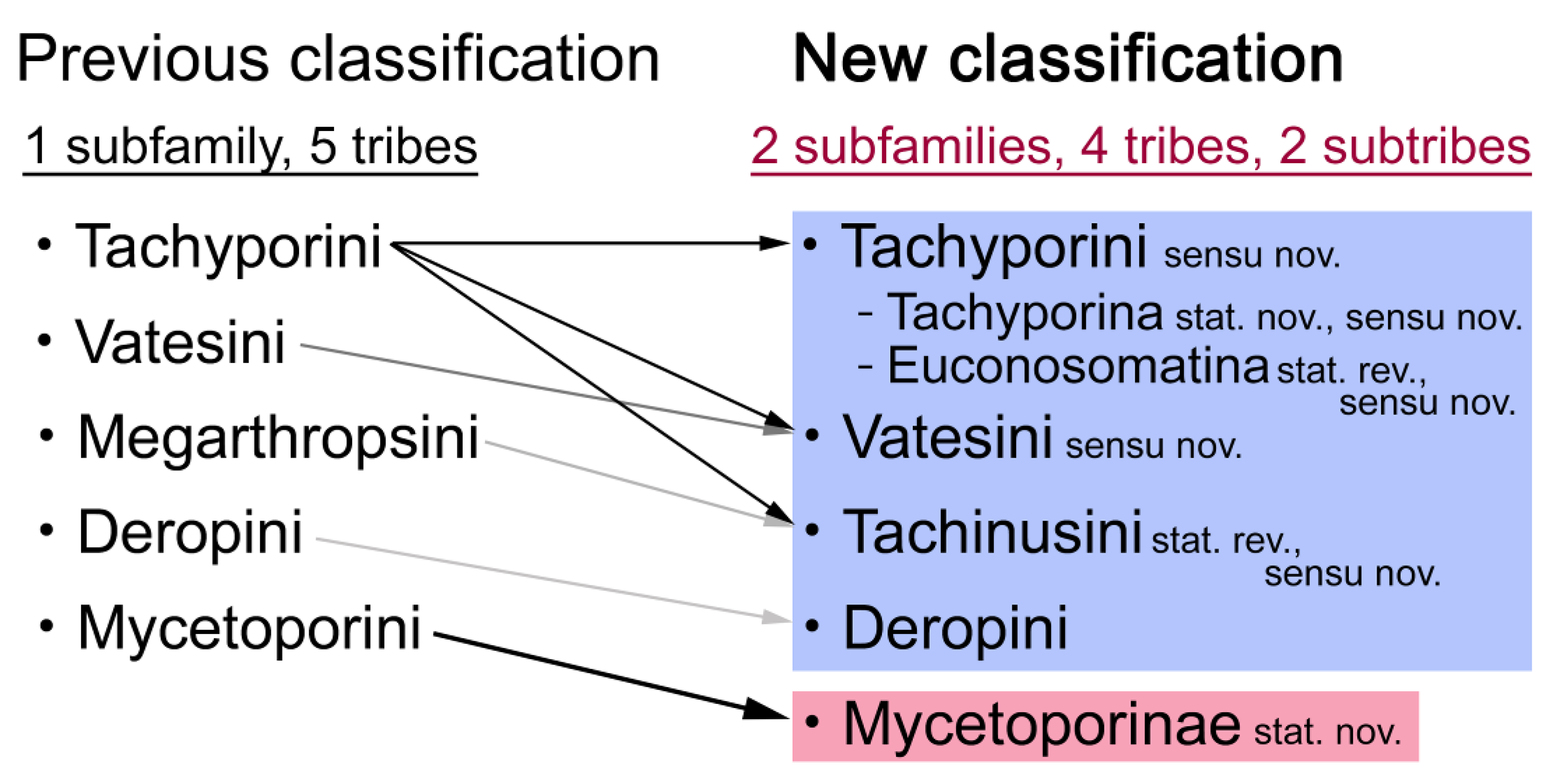 Biology 10 00323 g005