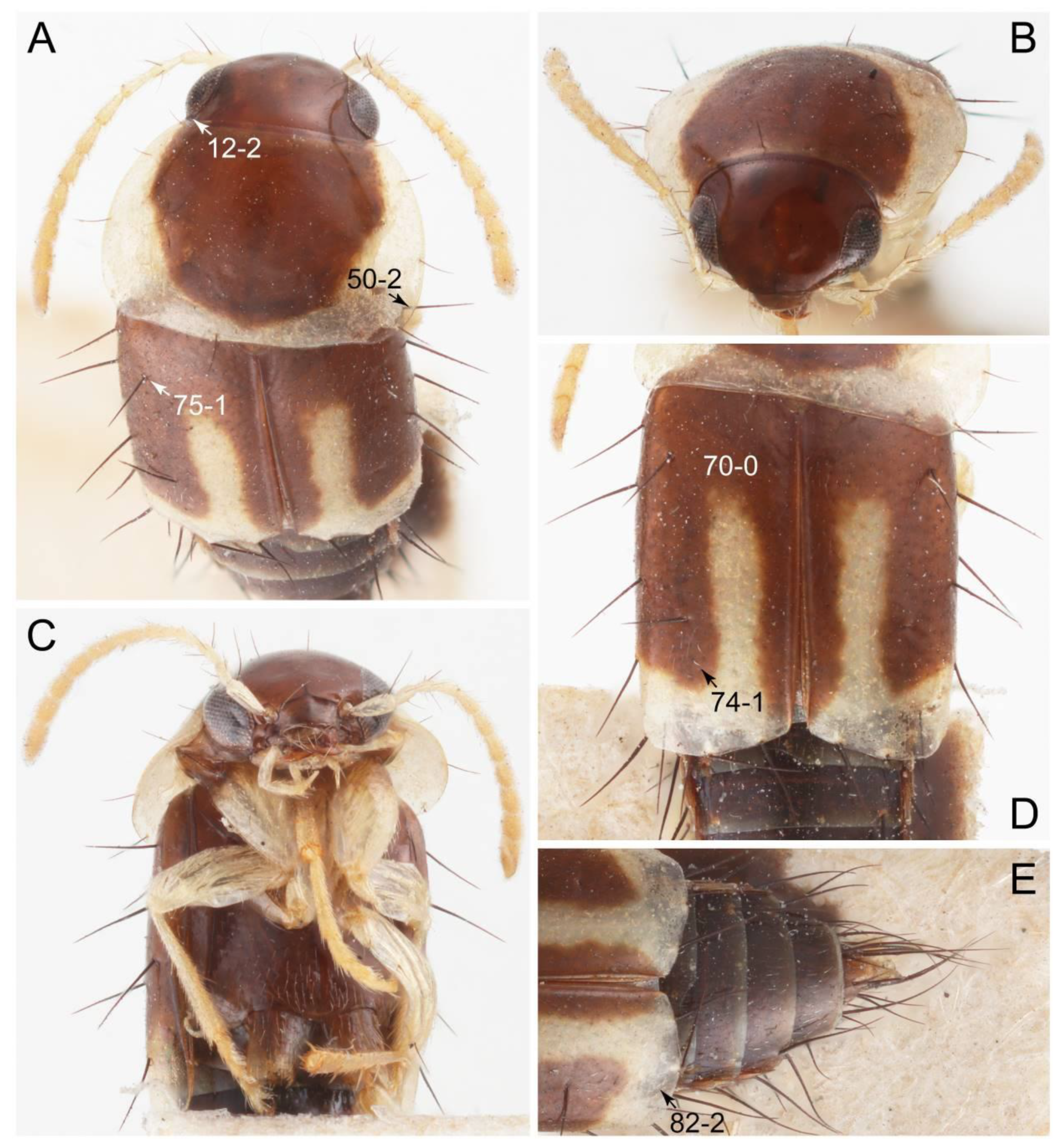 Biology 10 00323 g008
