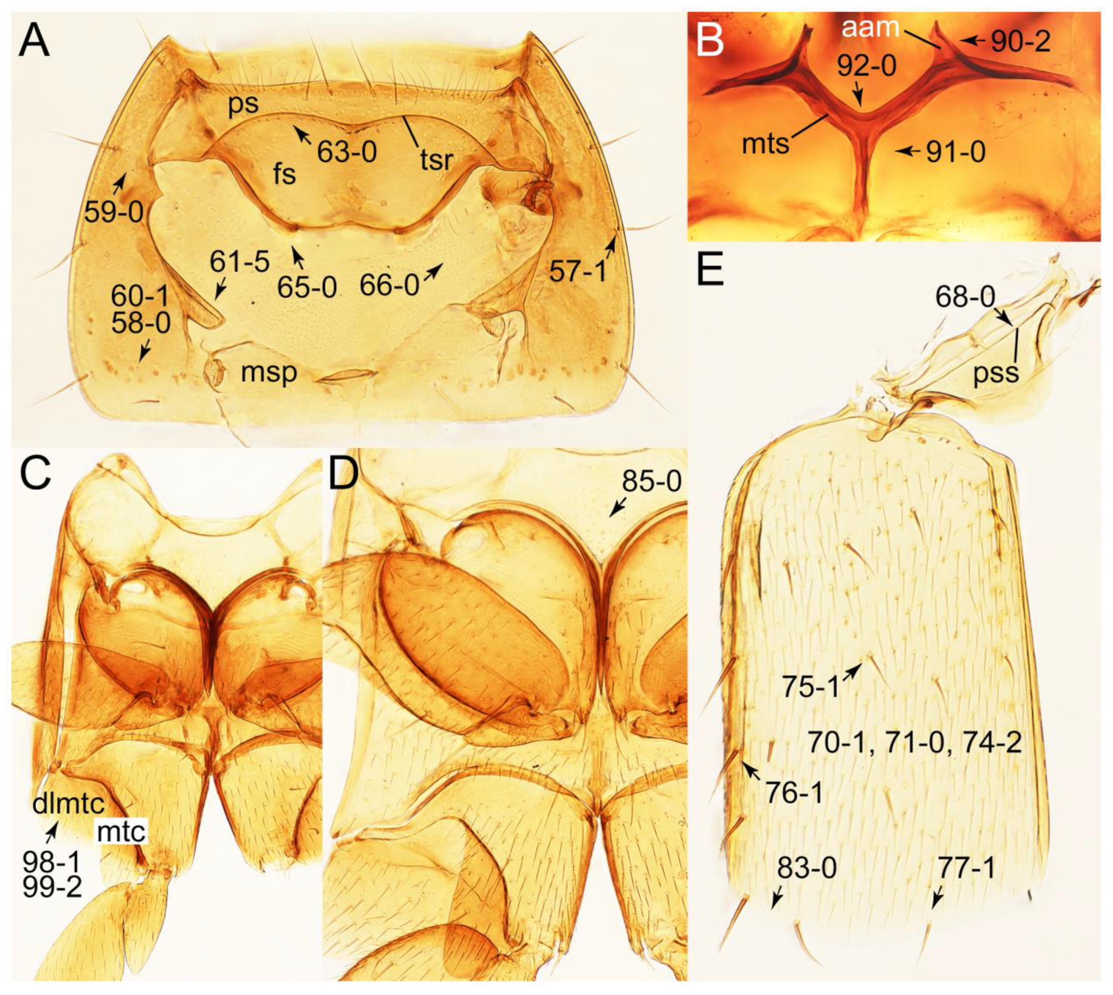 Biology 10 00323 g011