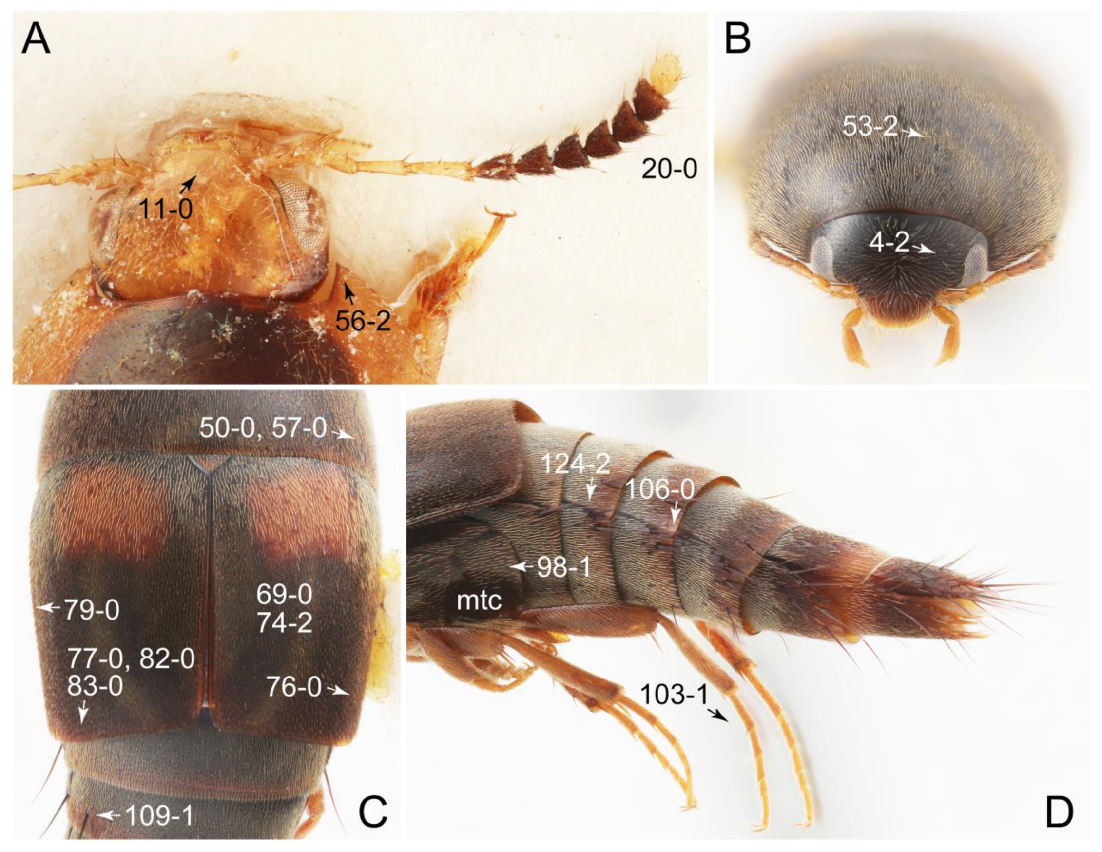 Biology 10 00323 g015