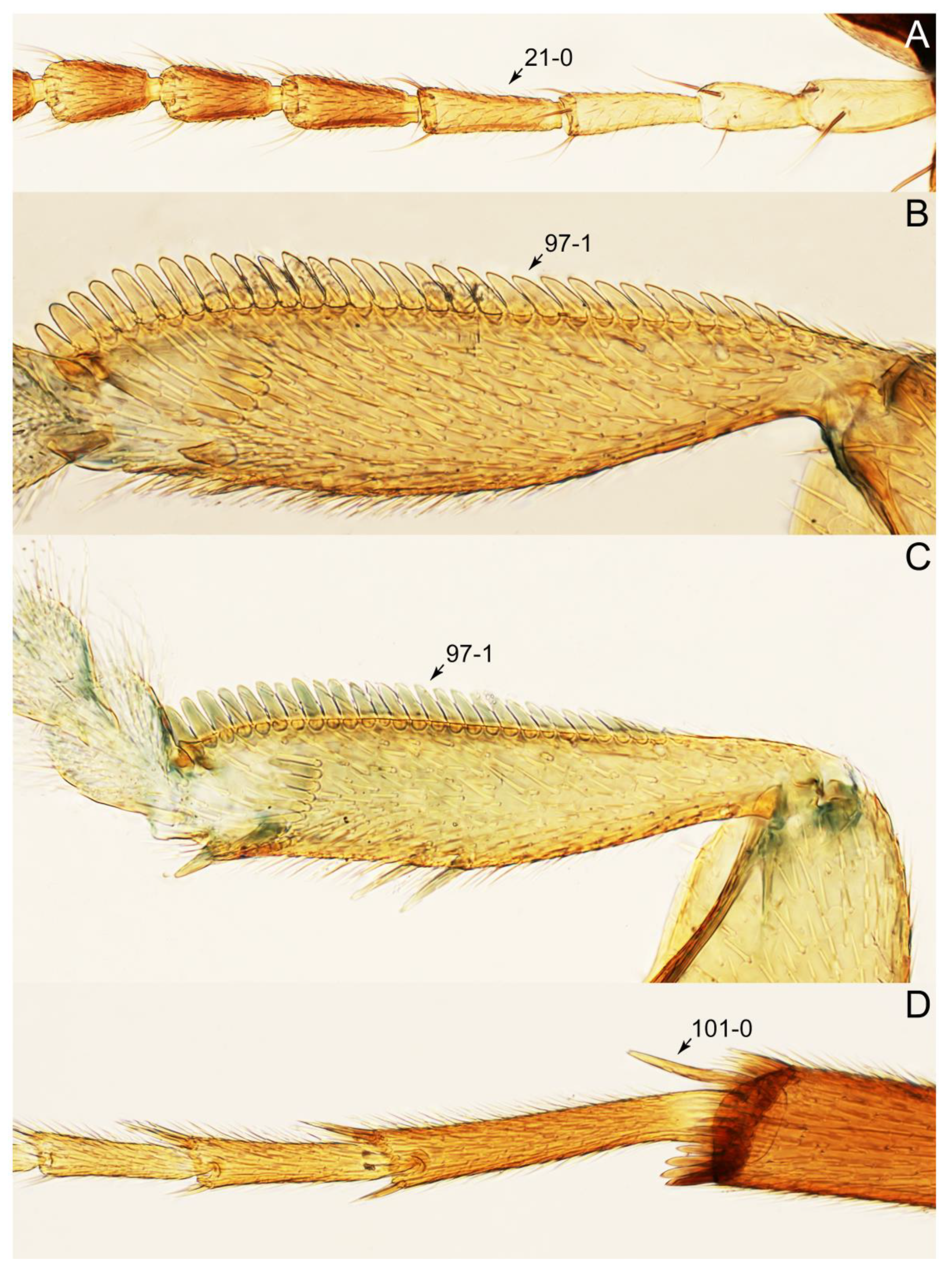 Biology 10 00323 g017
