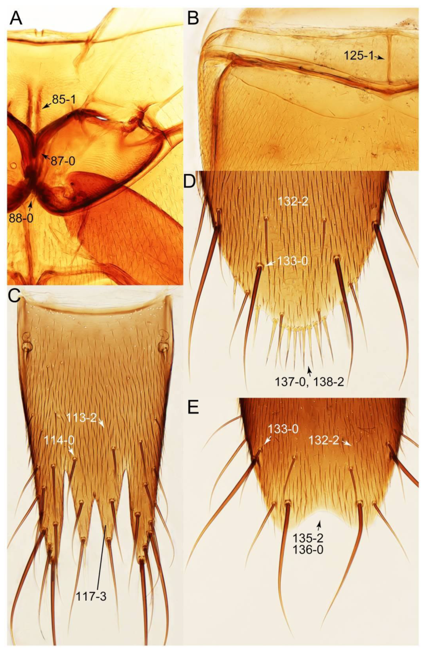 Biology 10 00323 g019