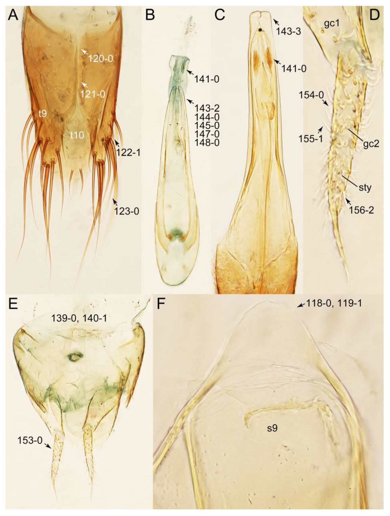 Biology 10 00323 g020