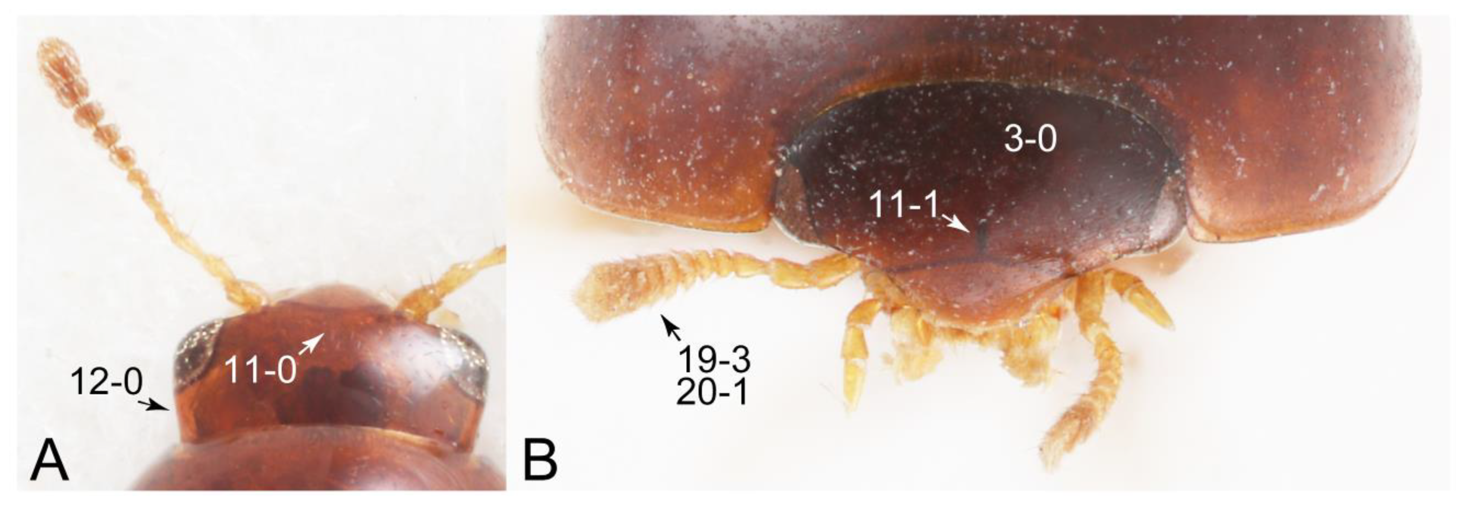 Biology 10 00323 g023