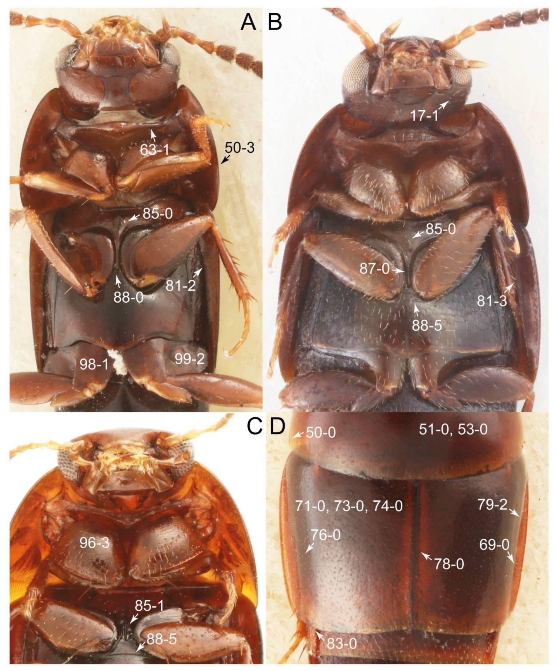 Biology 10 00323 g024