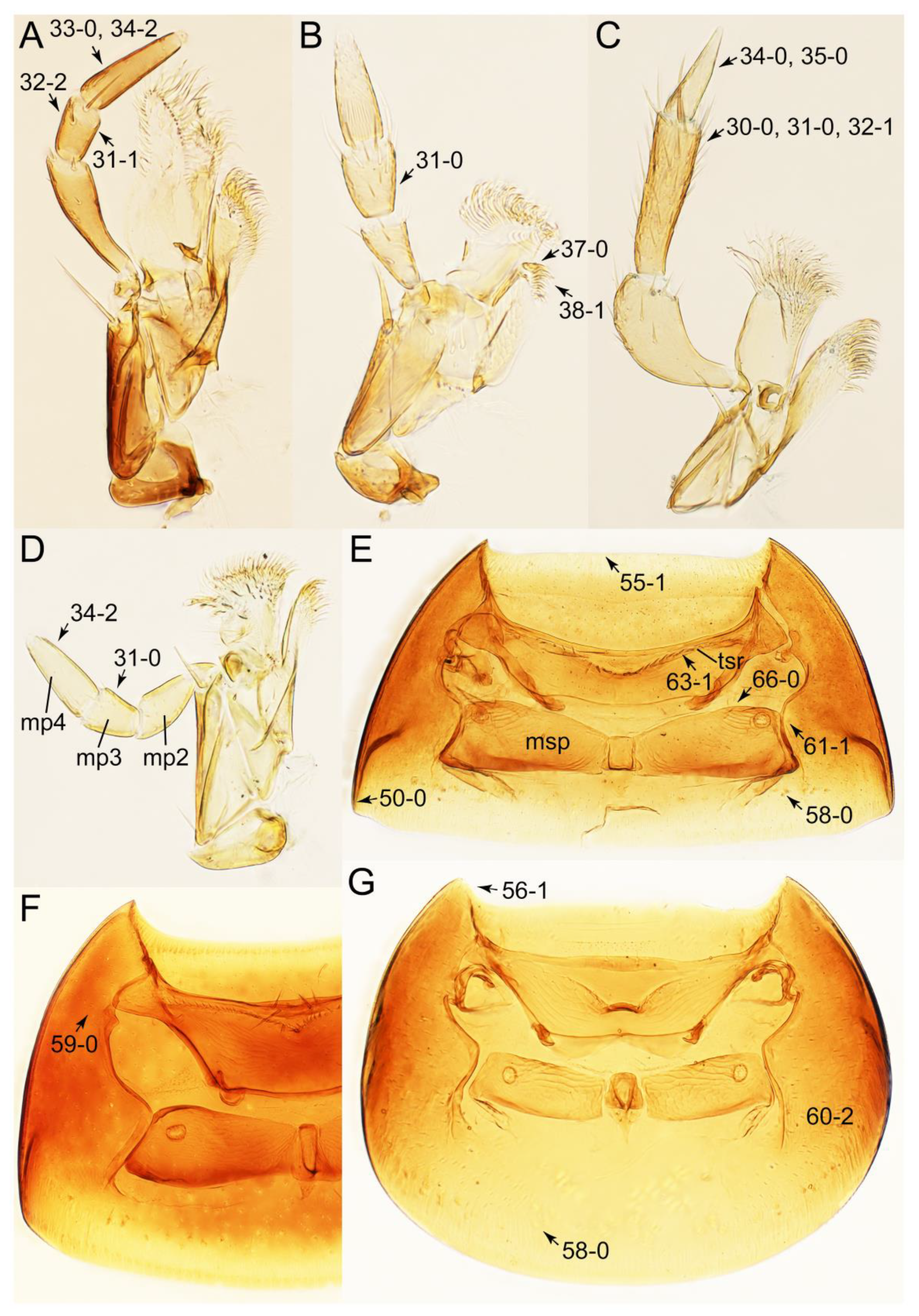 Biology 10 00323 g027