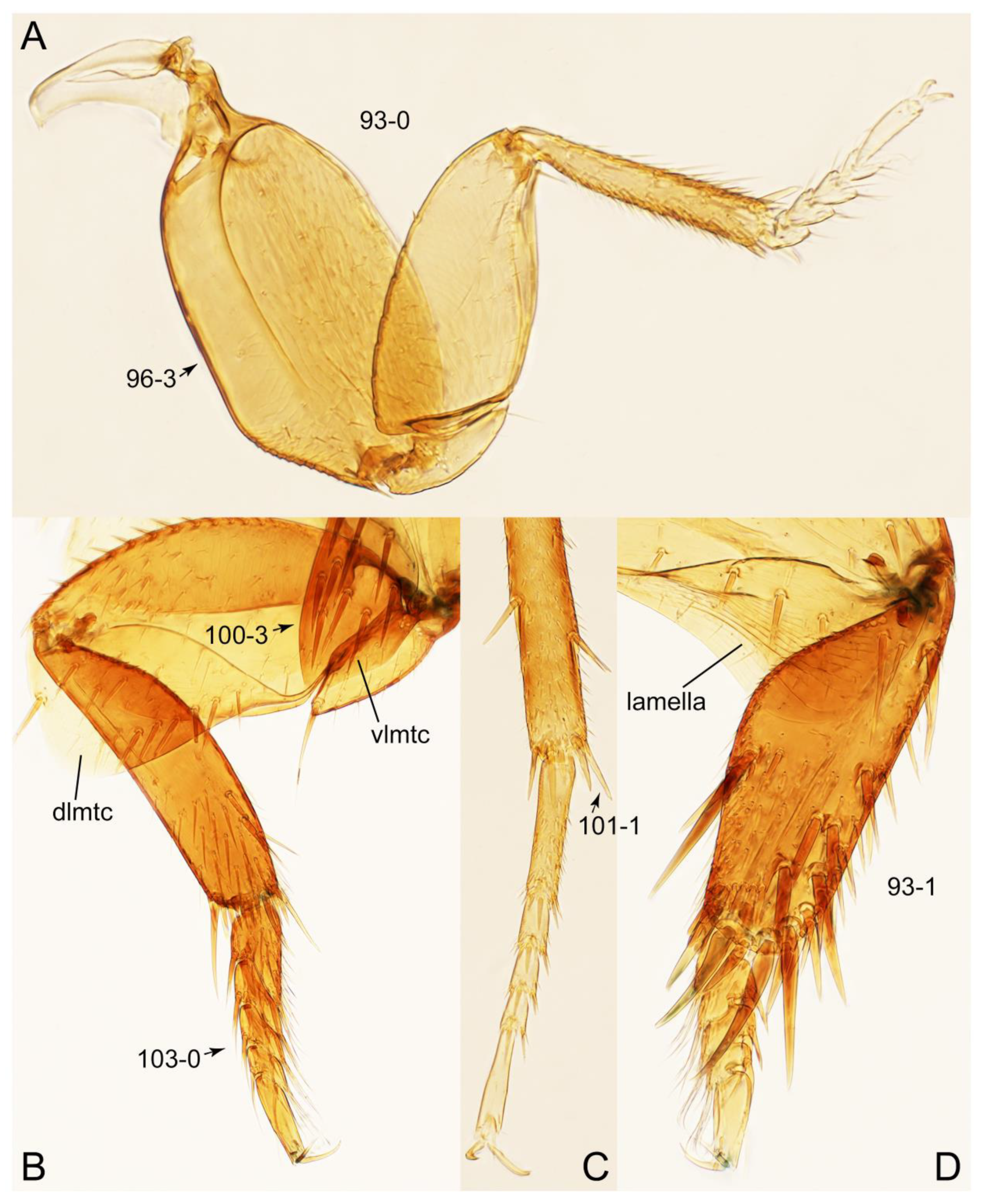 Biology 10 00323 g029