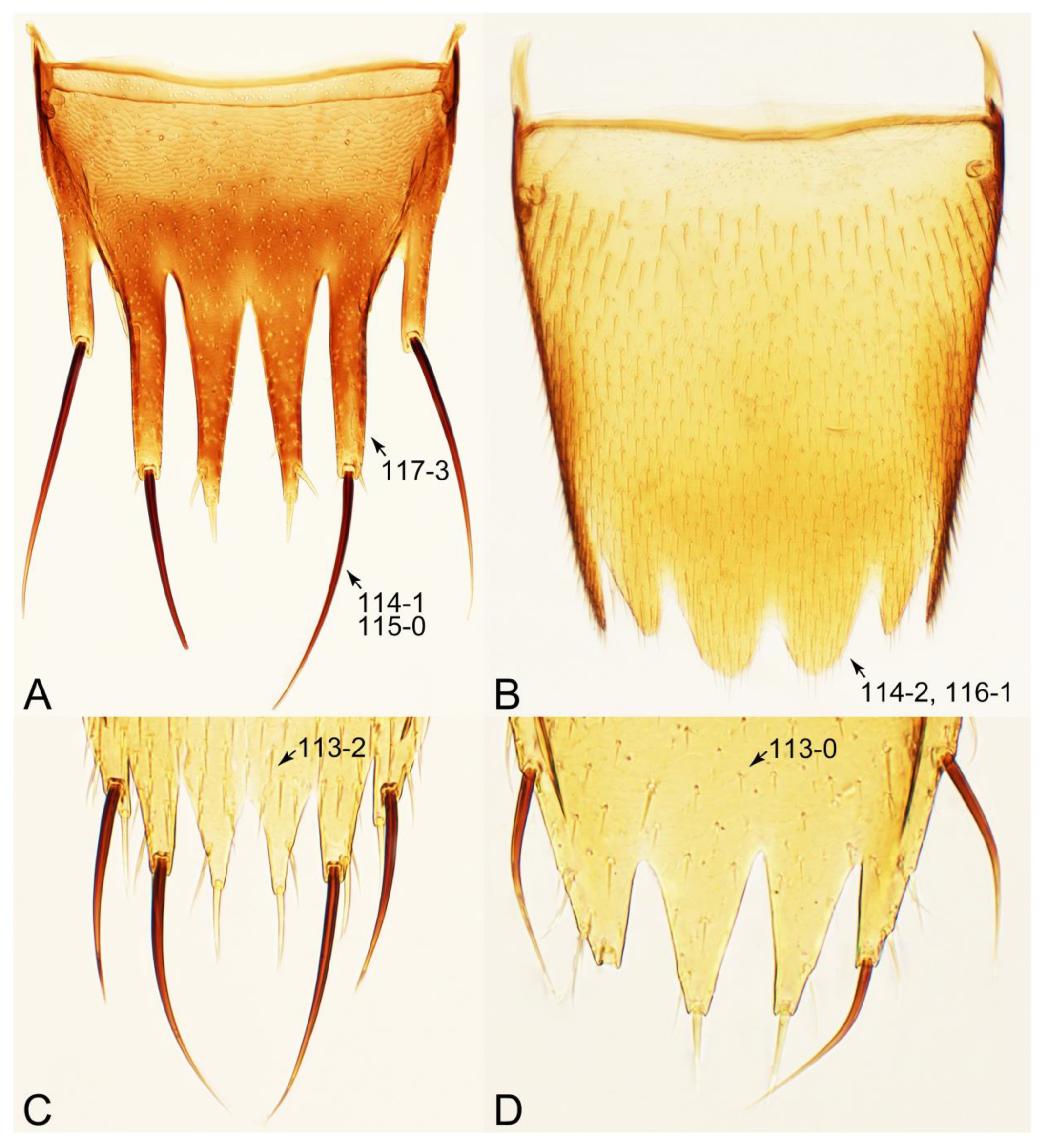 Biology 10 00323 g031