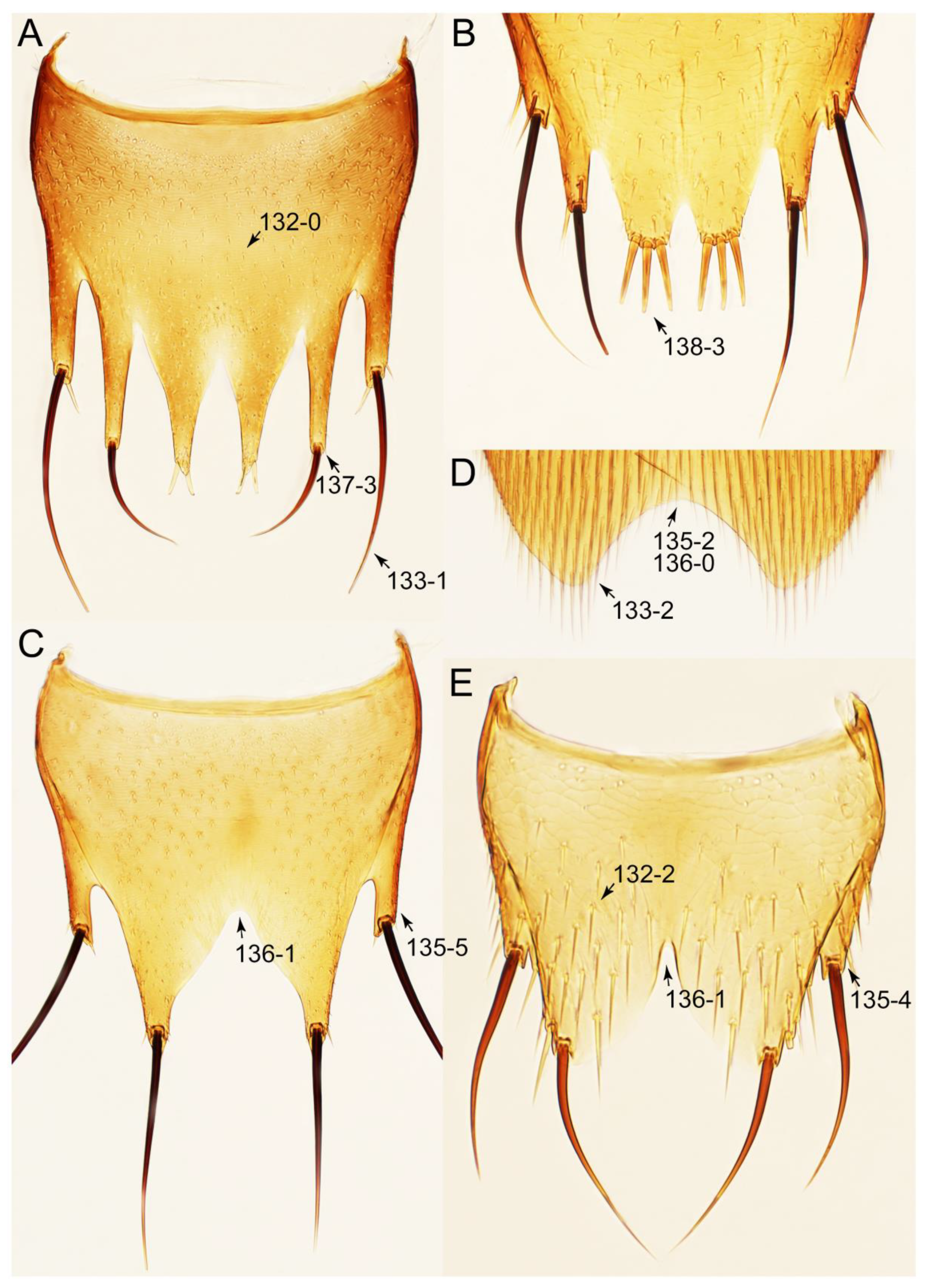 Biology 10 00323 g032