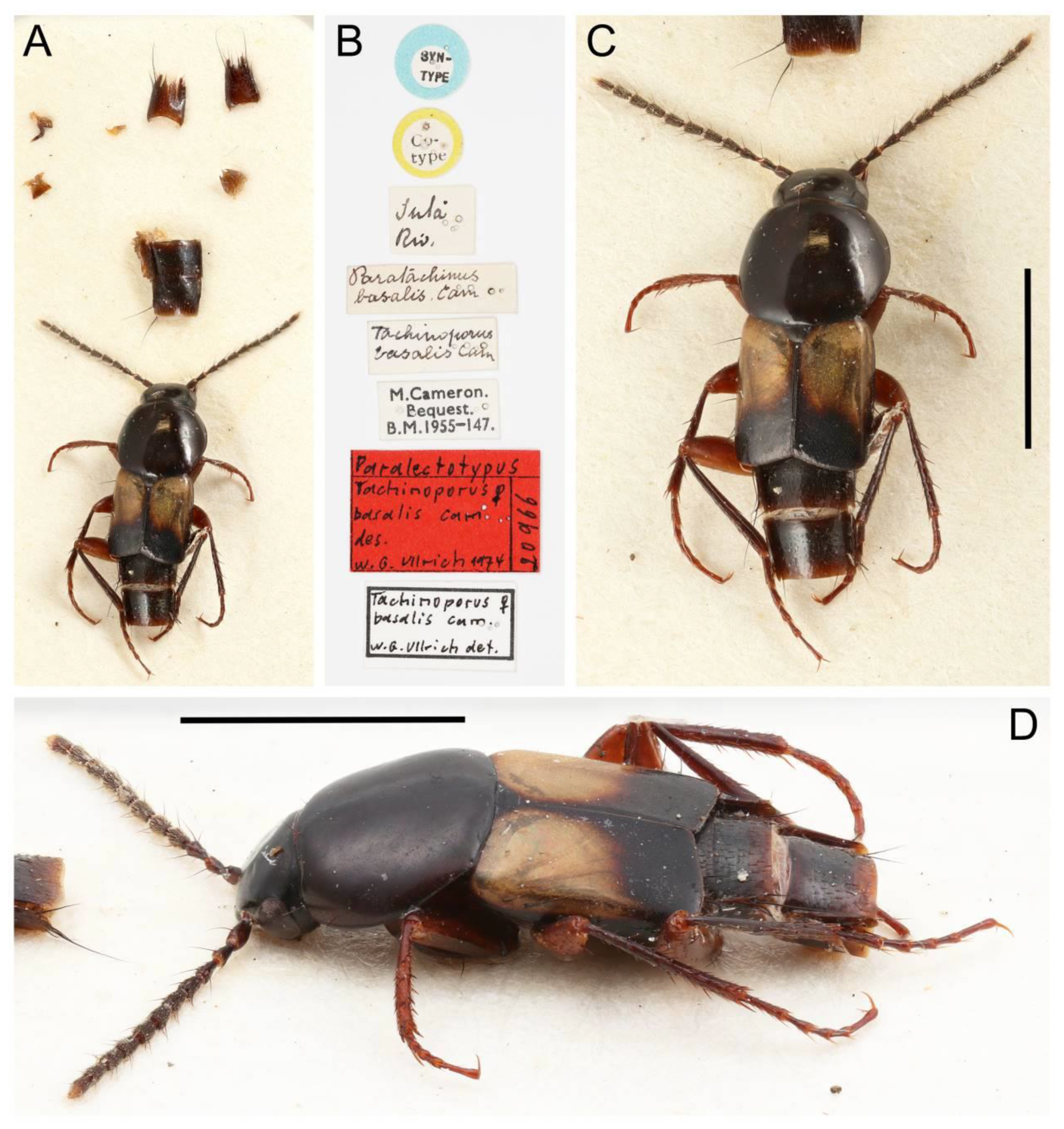 Biology 10 00323 g035