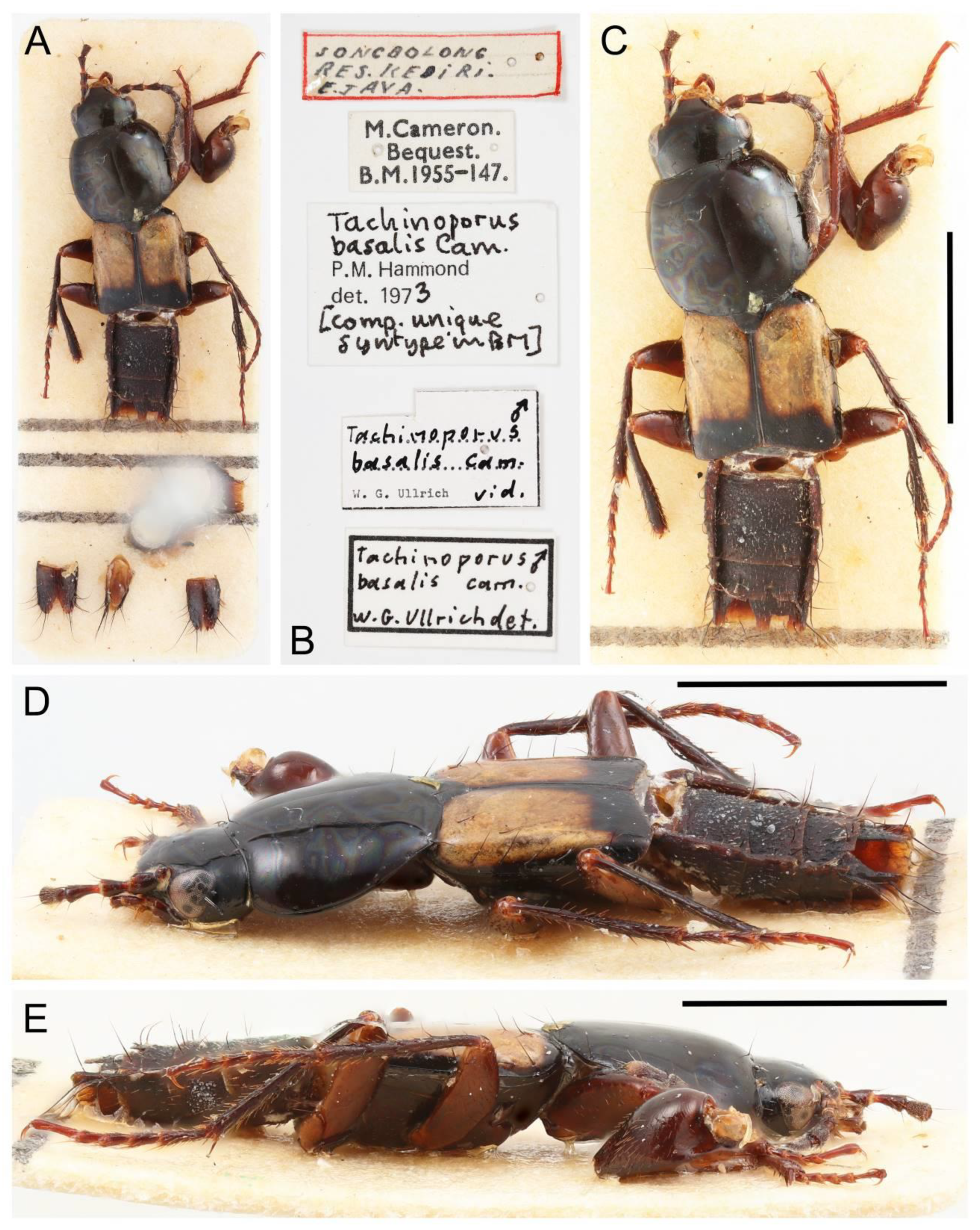 Biology 10 00323 g036
