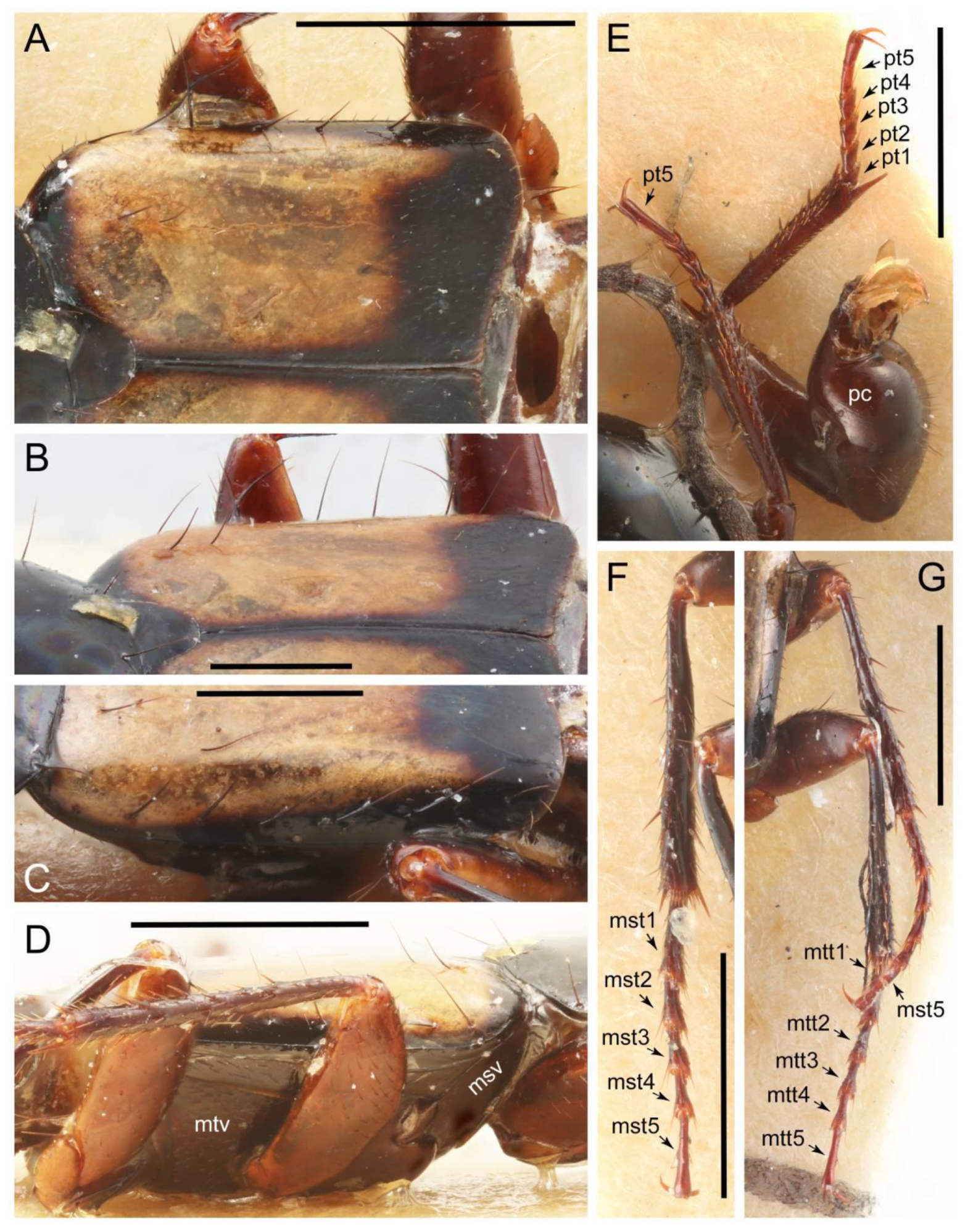 Biology 10 00323 g038