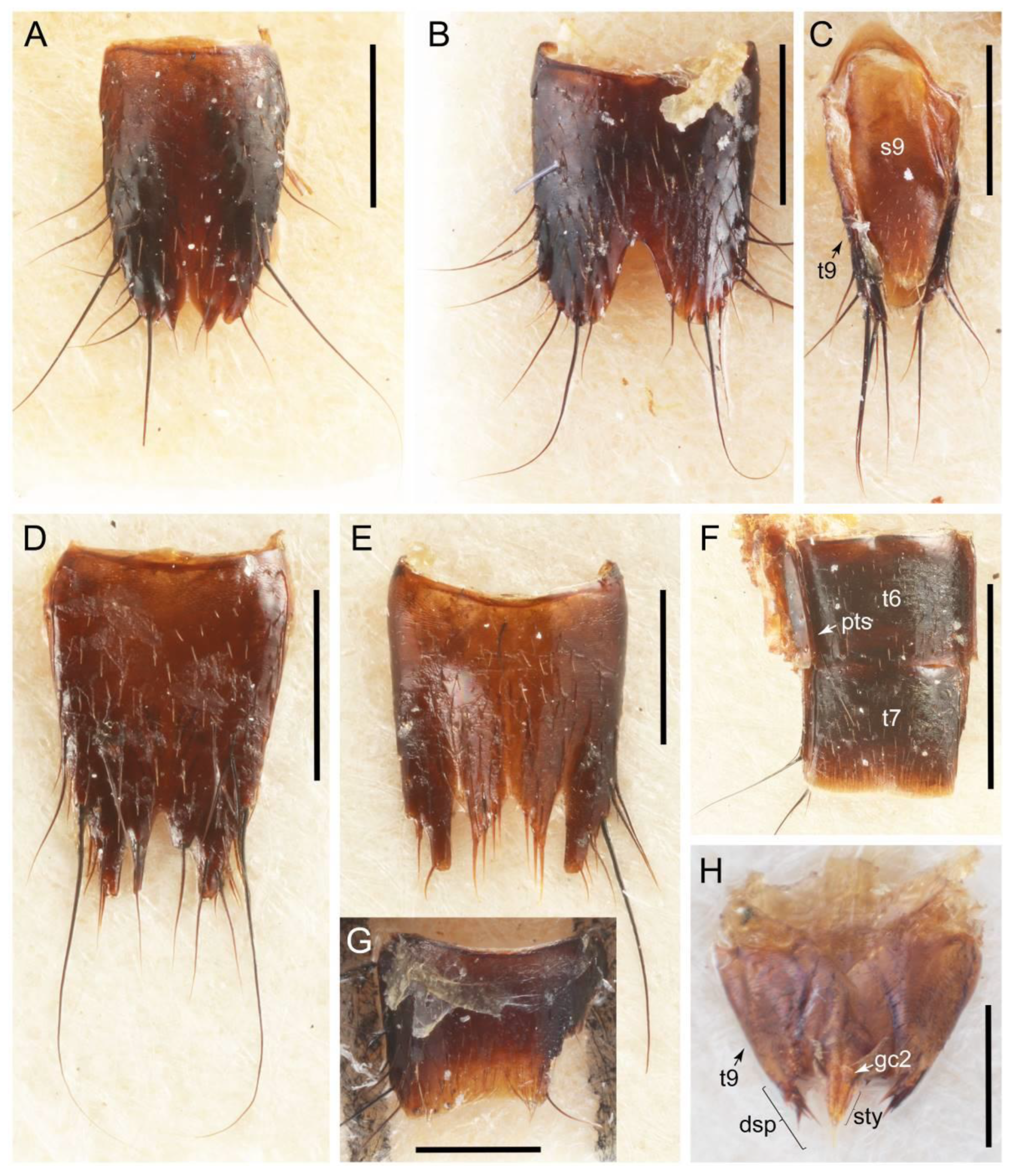 Biology 10 00323 g039