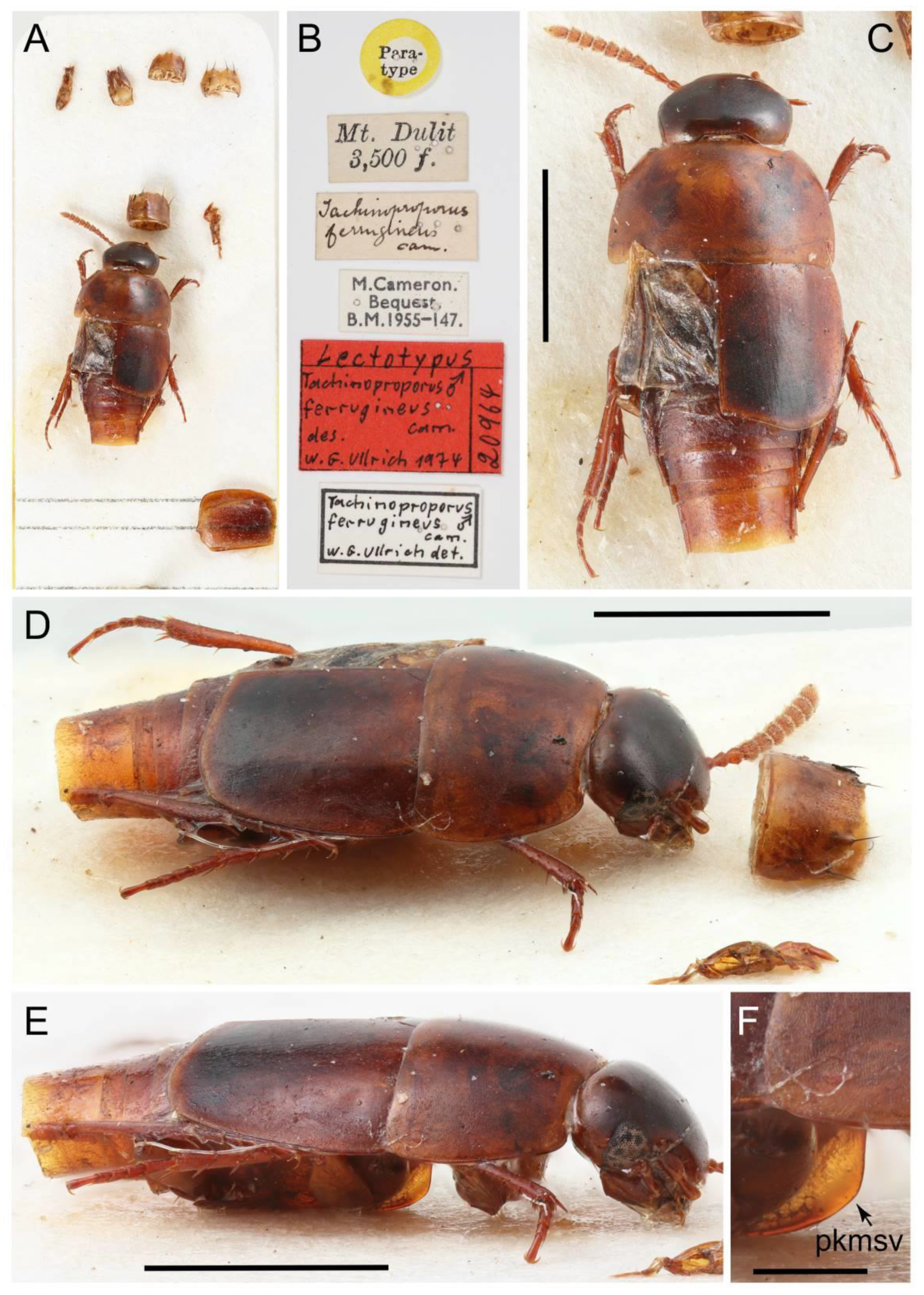 Biology 10 00323 g040