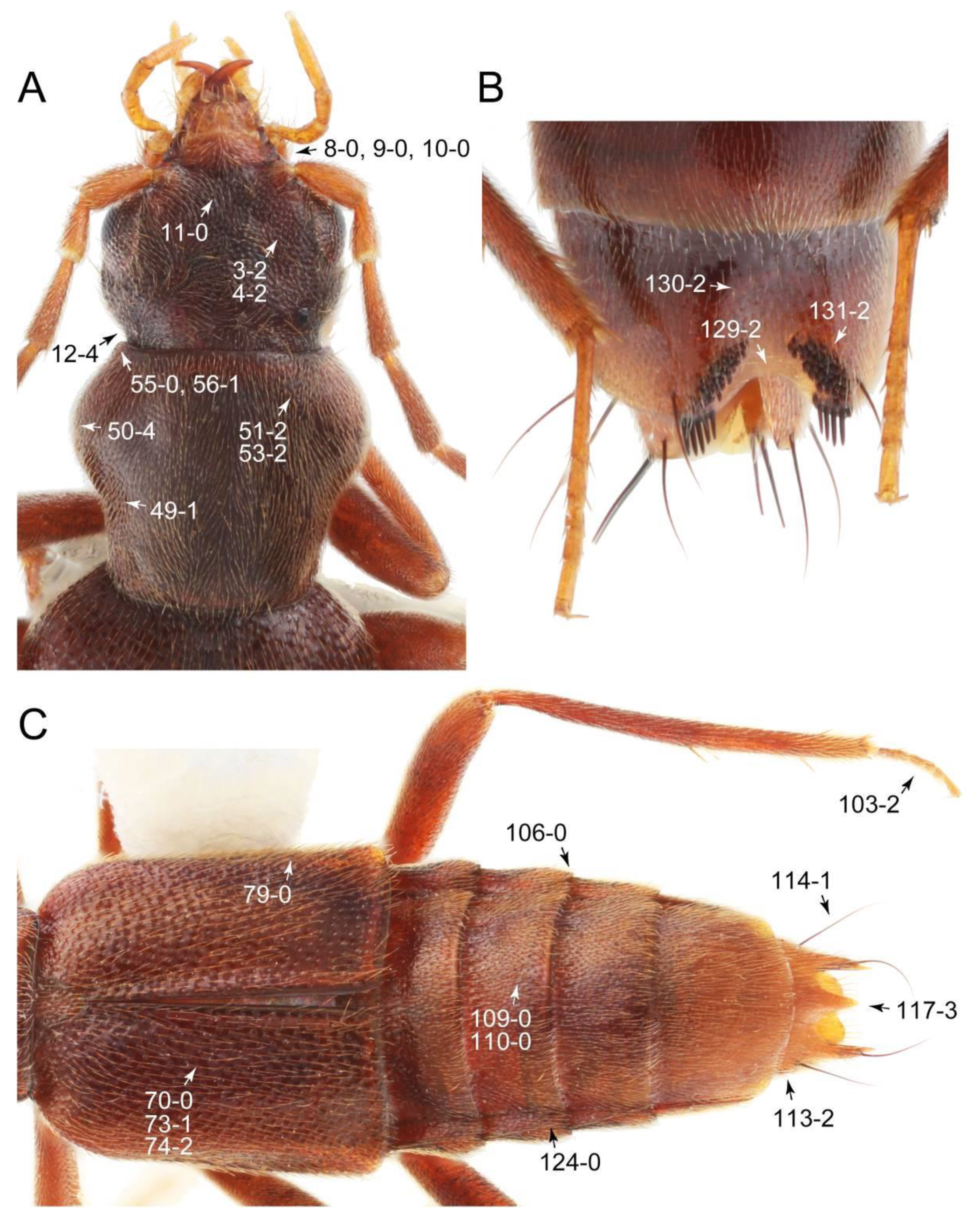 Biology 10 00323 g044
