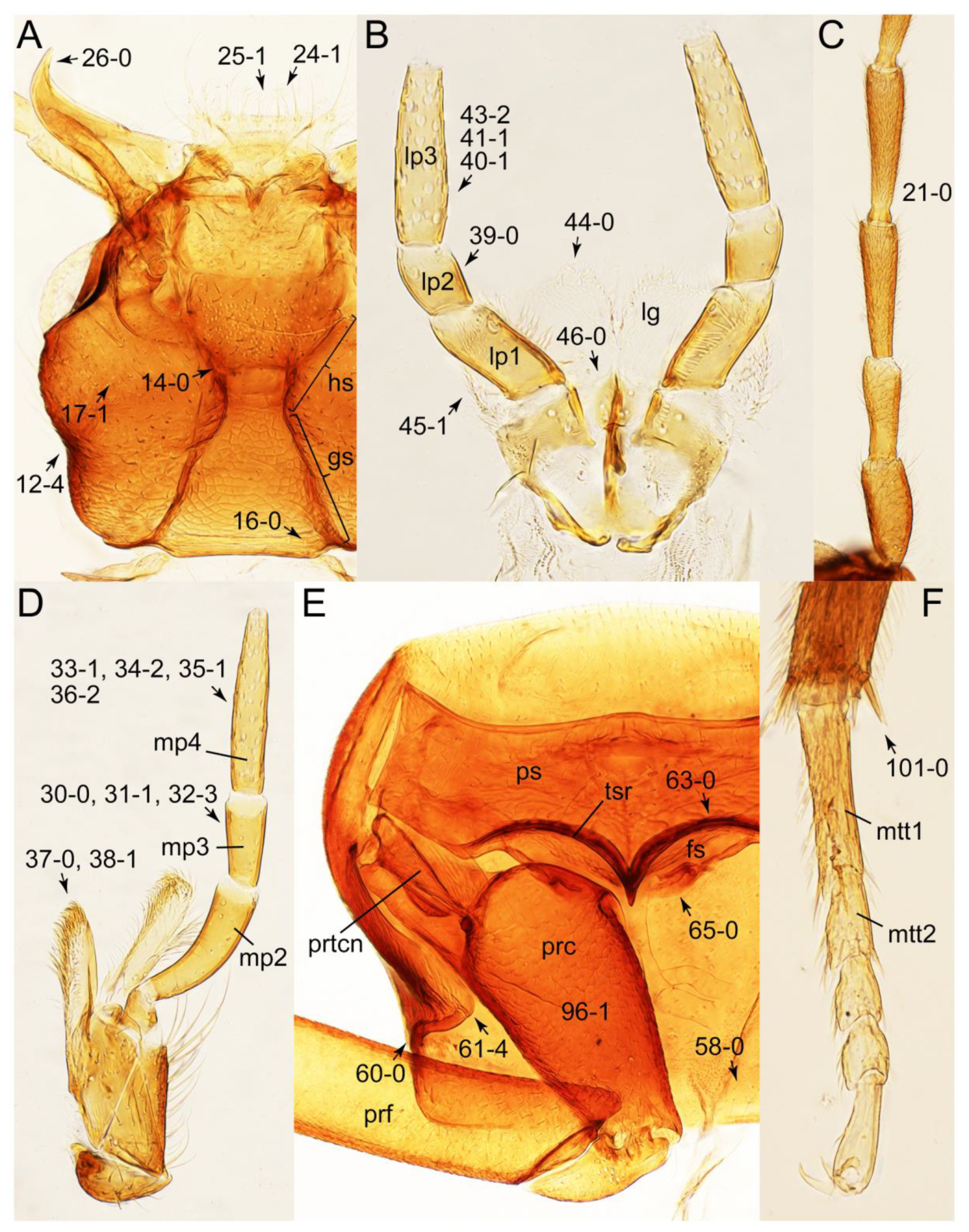 Biology 10 00323 g045