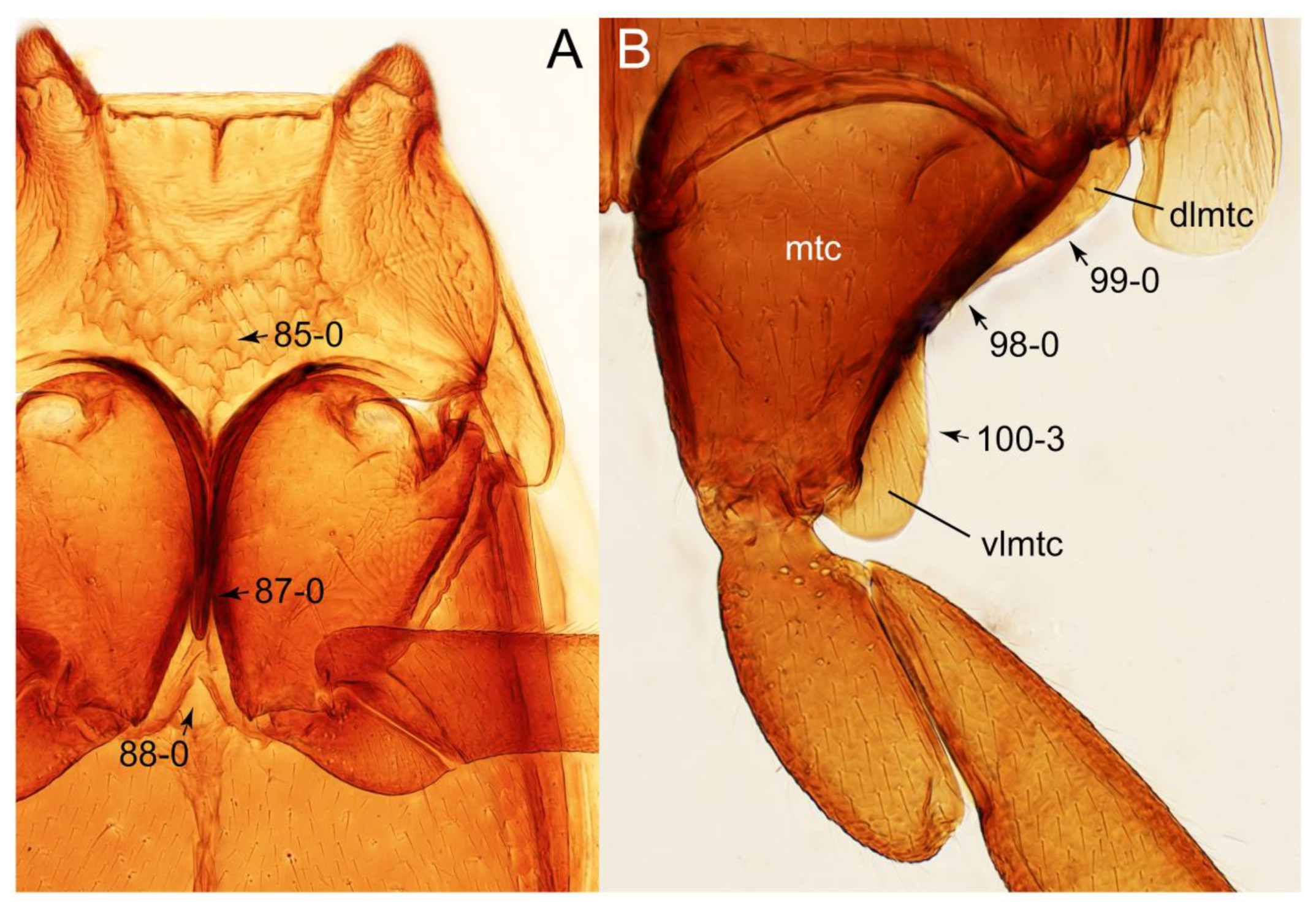 Biology 10 00323 g046