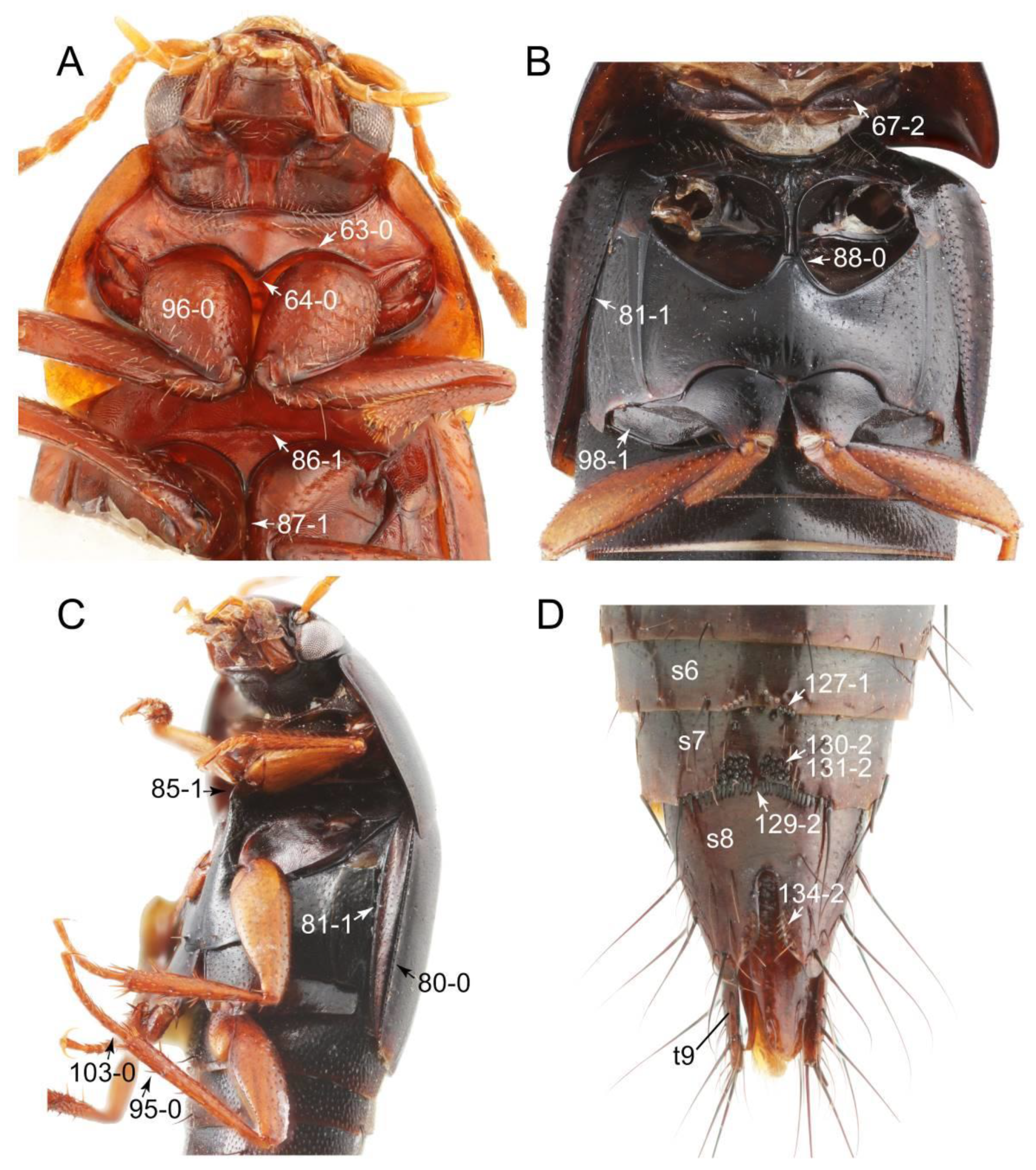 Biology 10 00323 g052