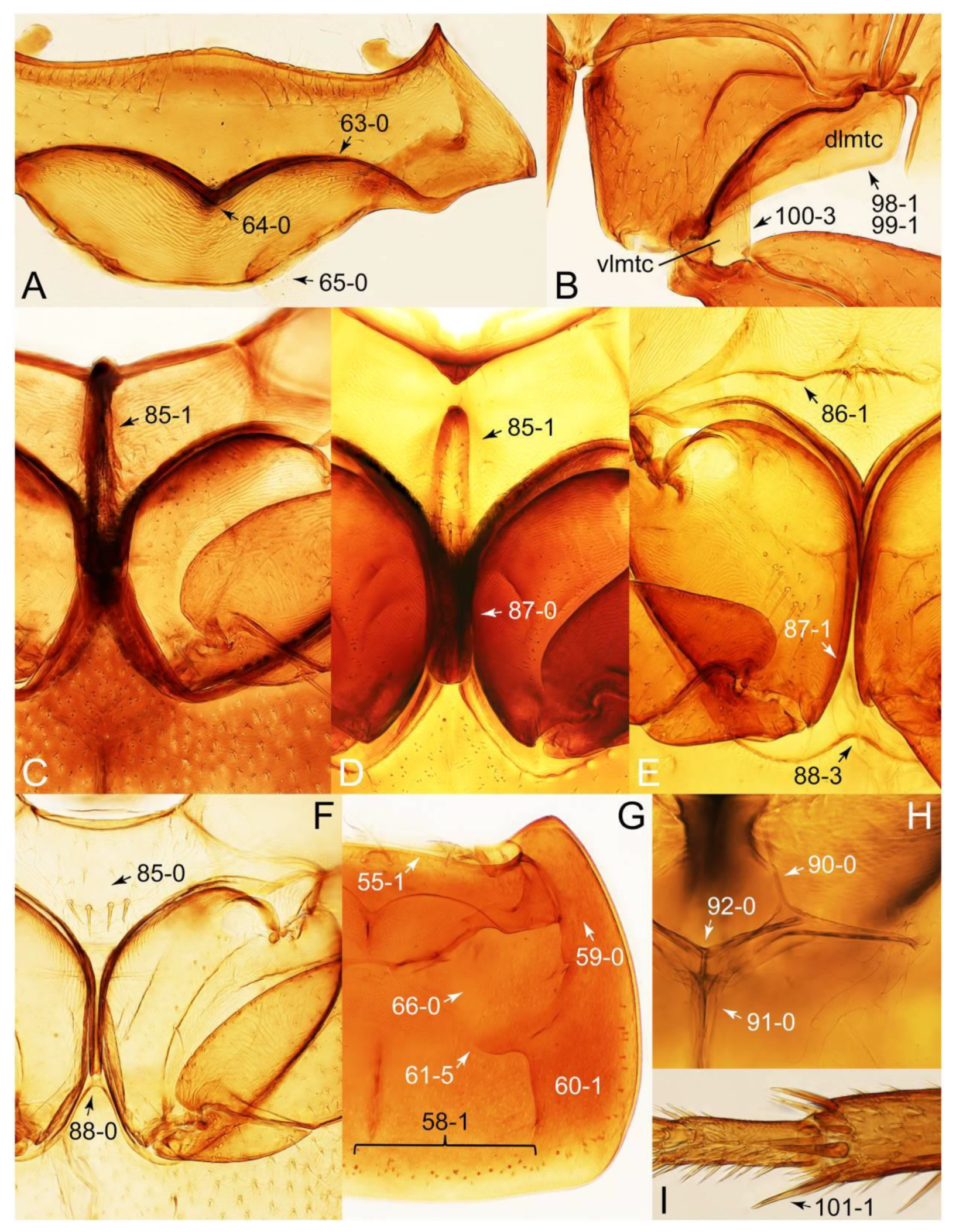 Biology 10 00323 g054