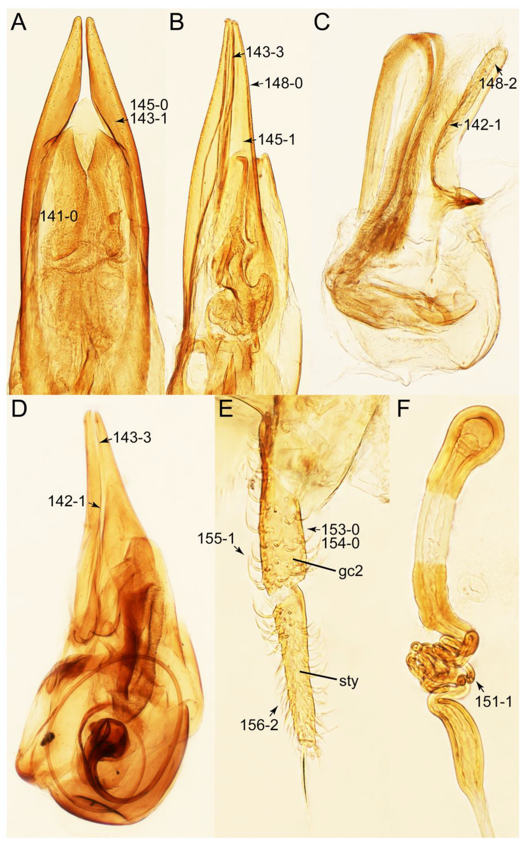 Biology 10 00323 g056