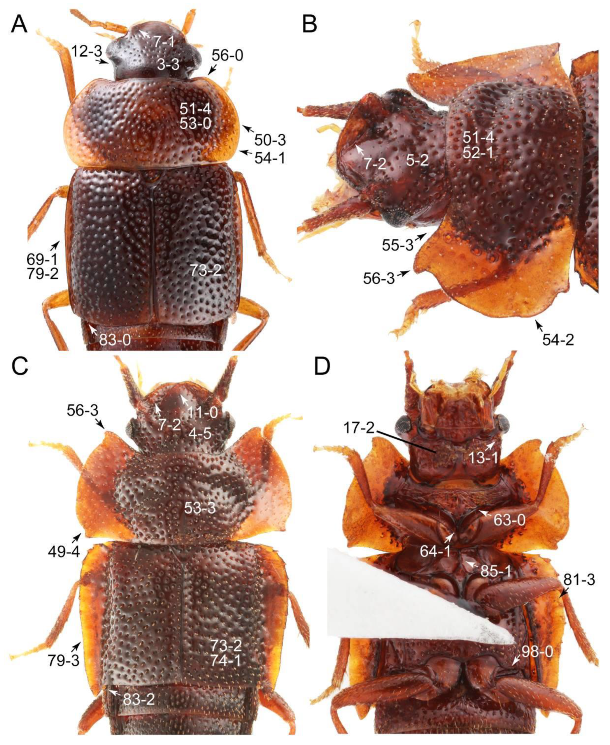 Biology 10 00323 g058