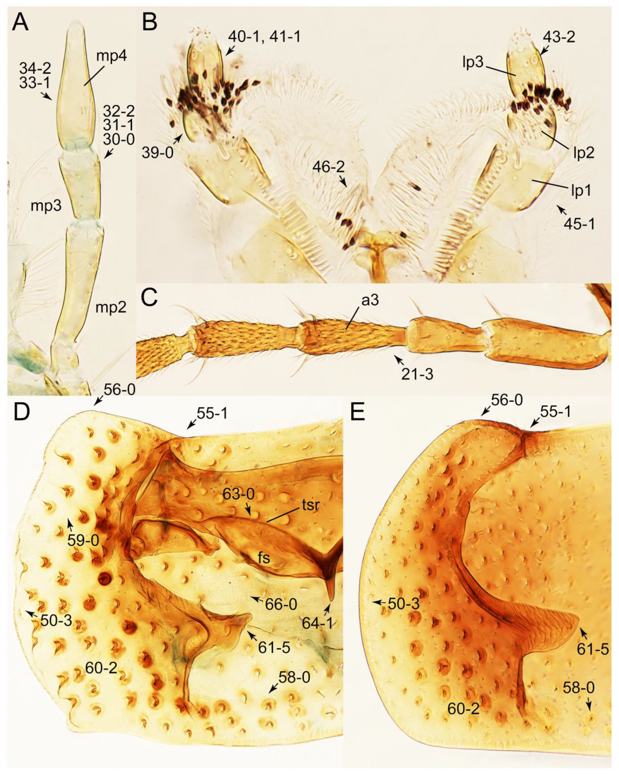 Biology 10 00323 g059