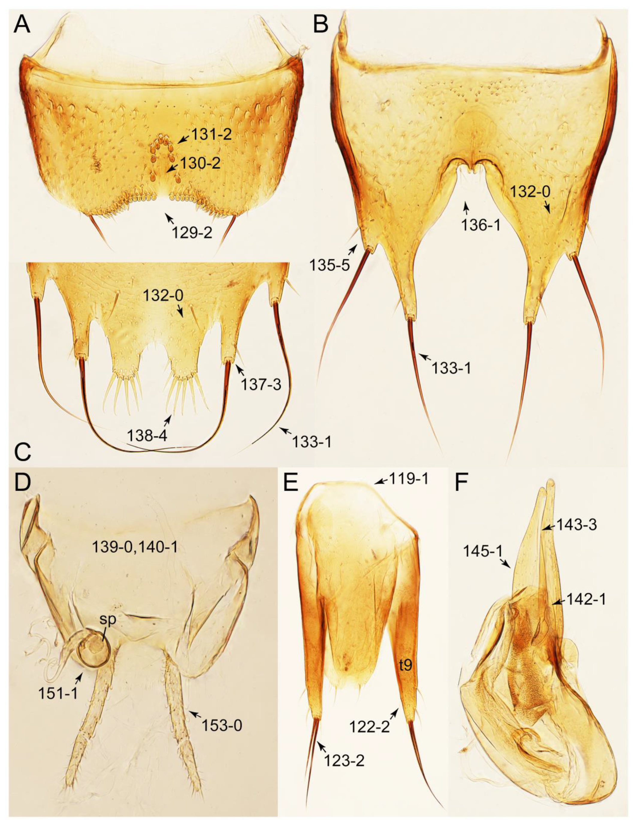 Biology 10 00323 g061