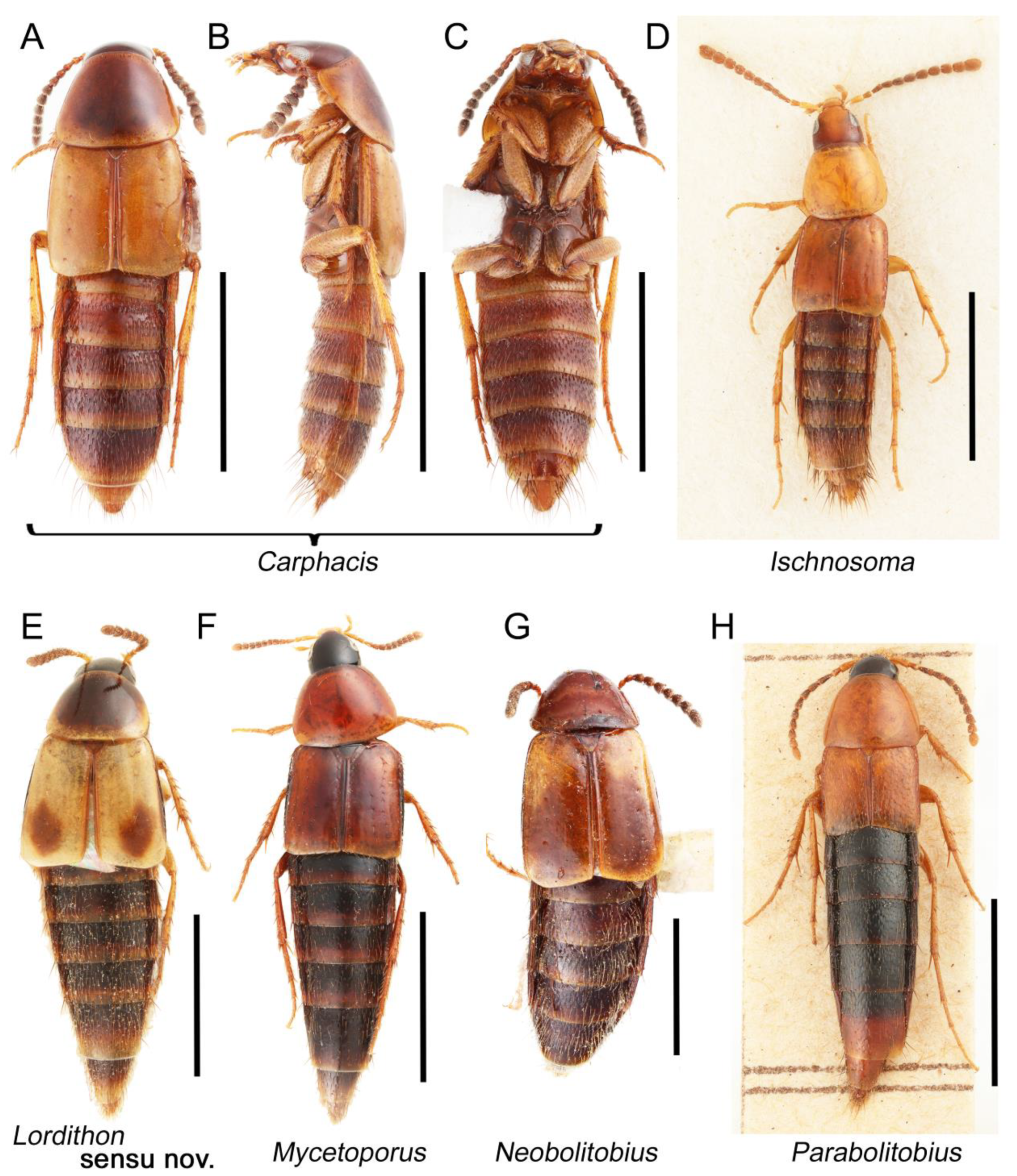 Biology 10 00323 g063