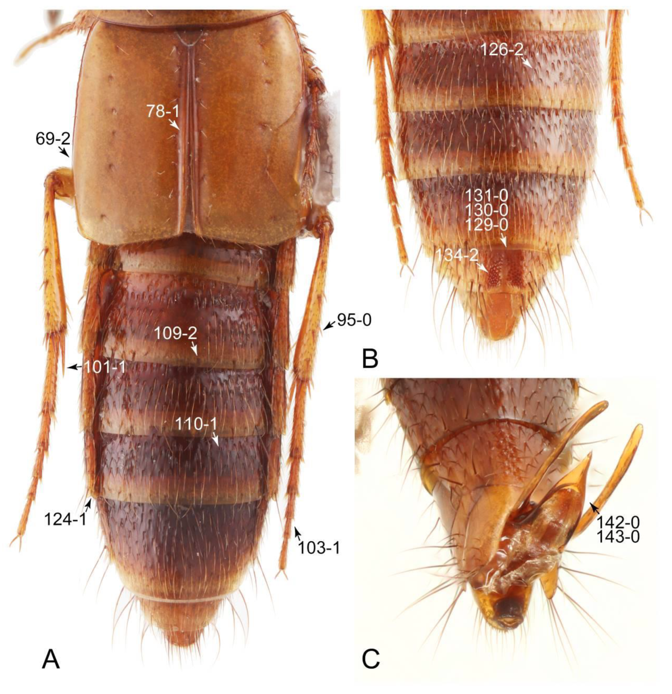 Biology 10 00323 g066