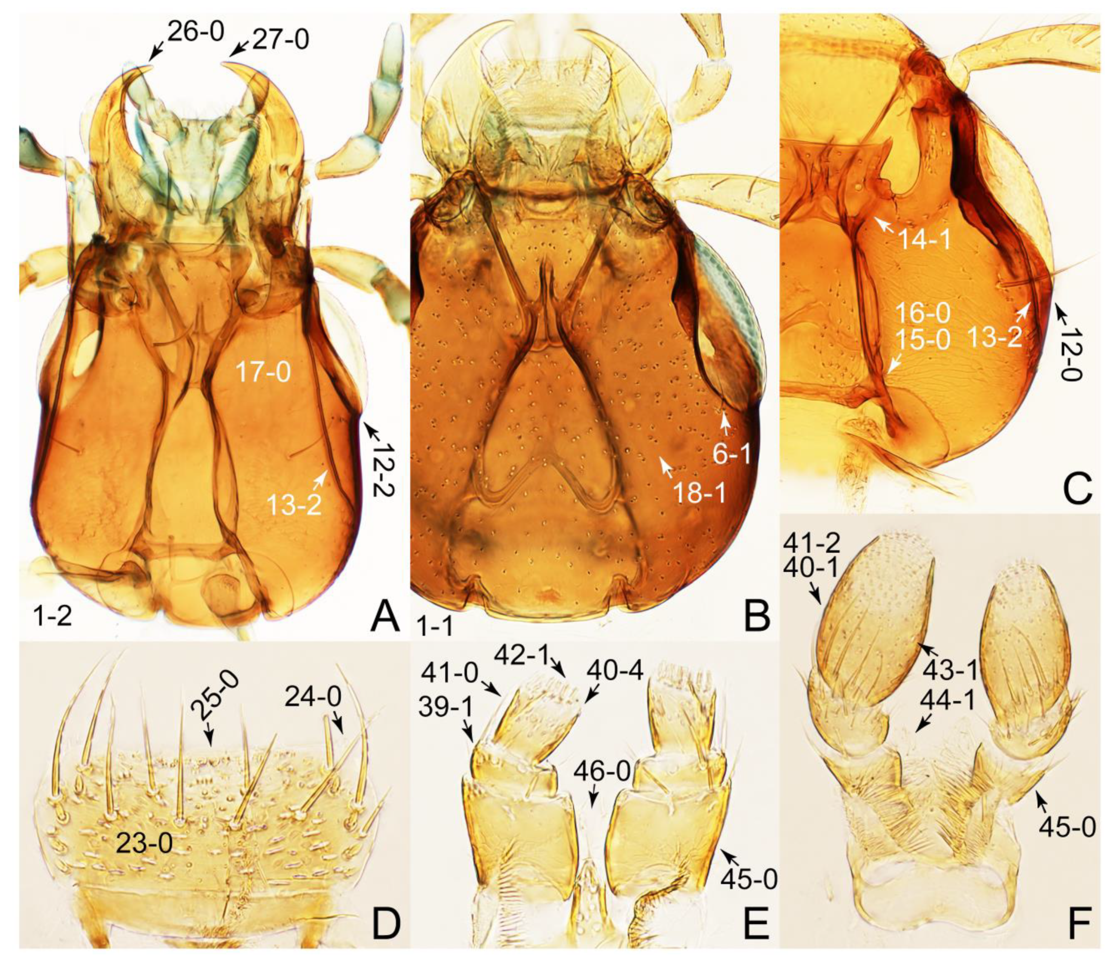 Biology 10 00323 g067