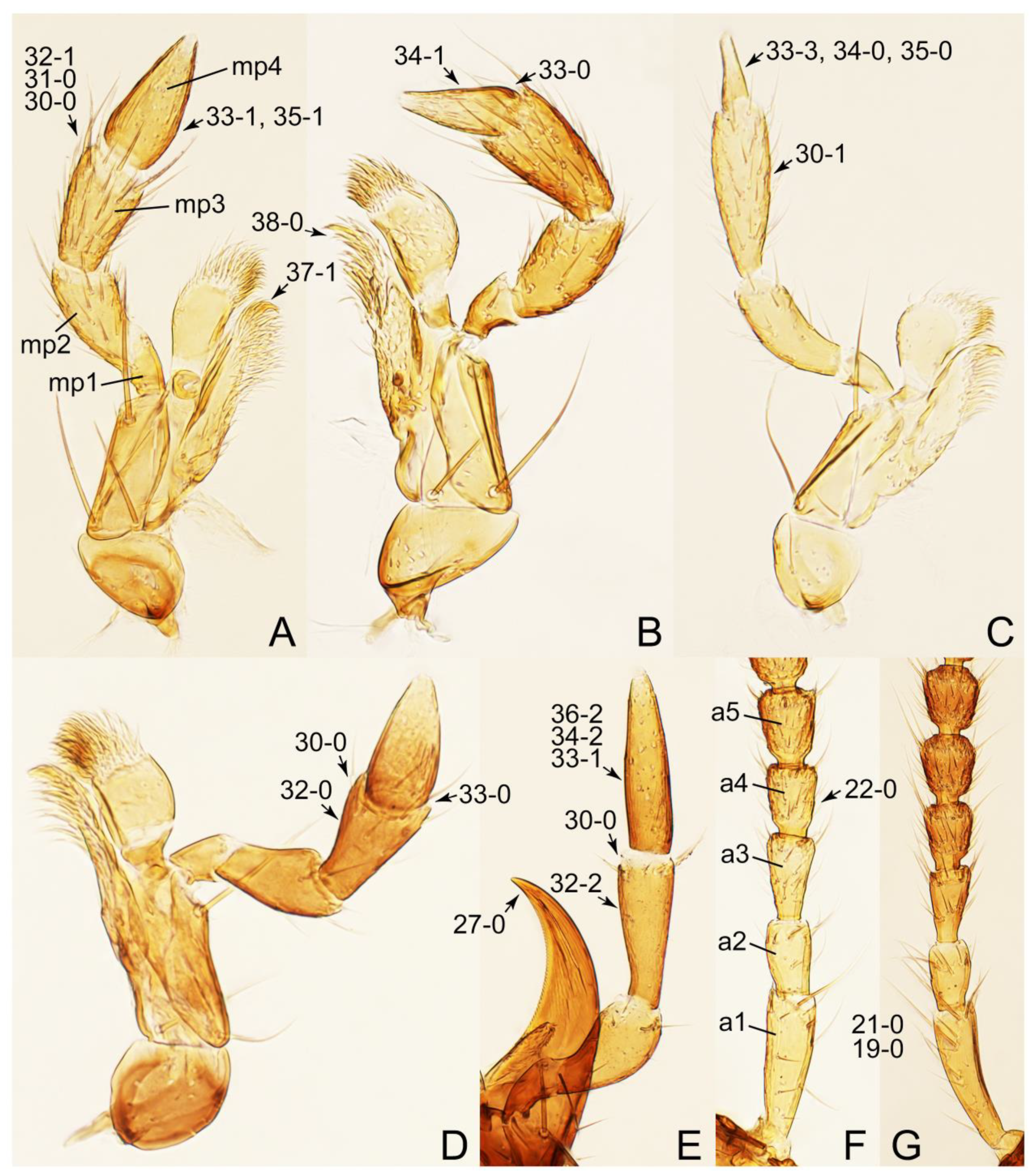 Biology 10 00323 g068
