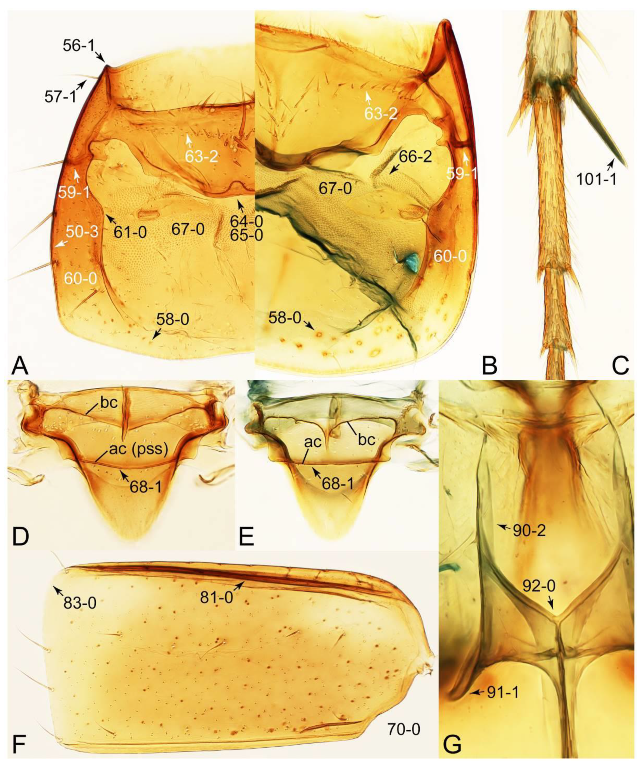 Biology 10 00323 g069