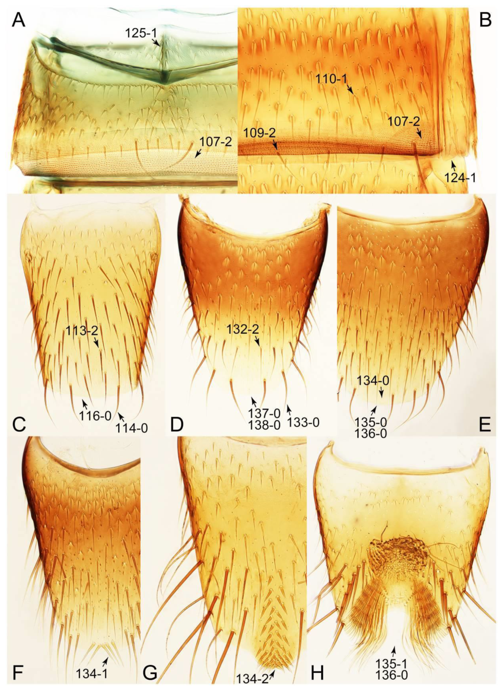 Biology 10 00323 g071