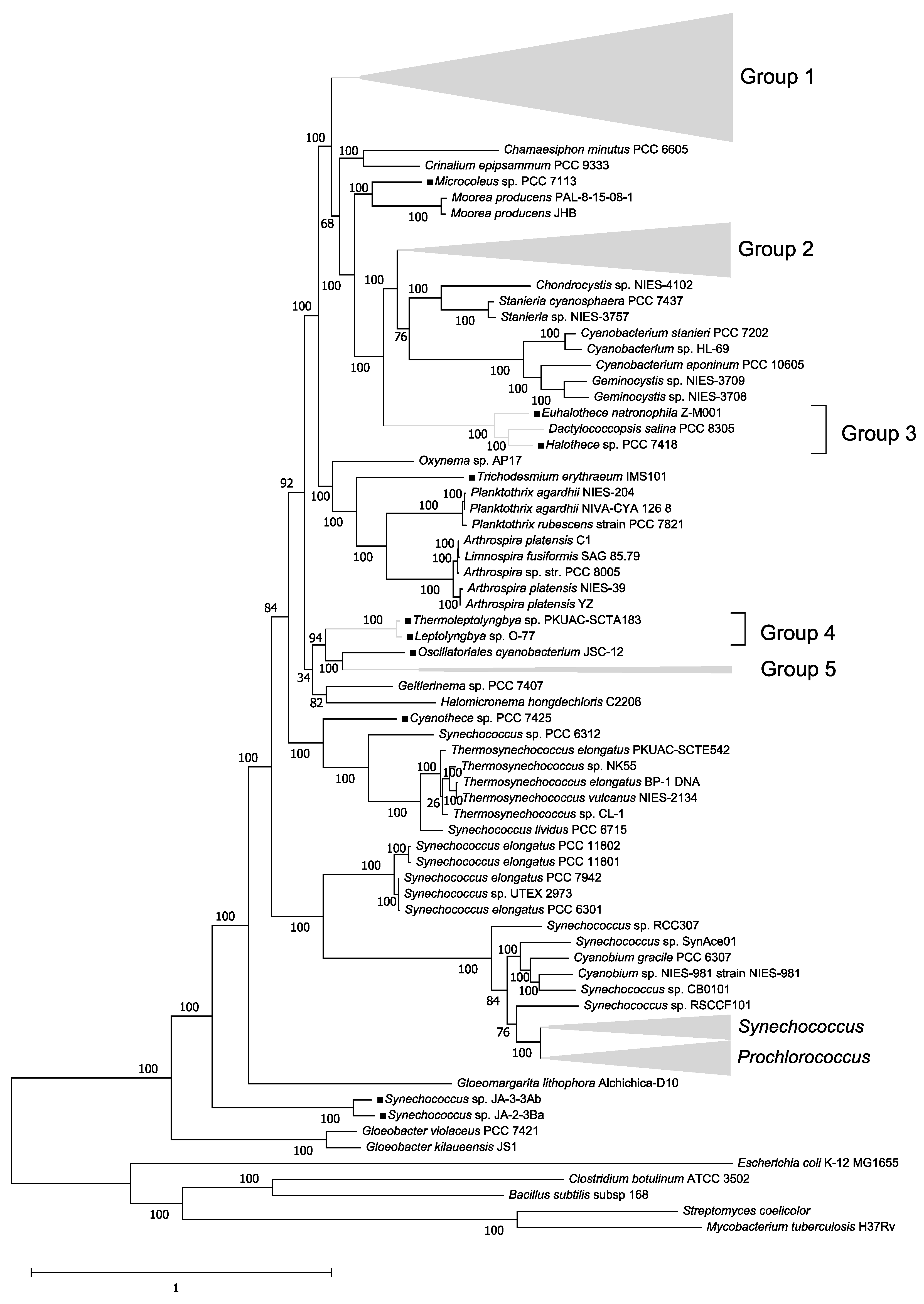 Biology 10 00329 g001 Biology 10 00329 g001