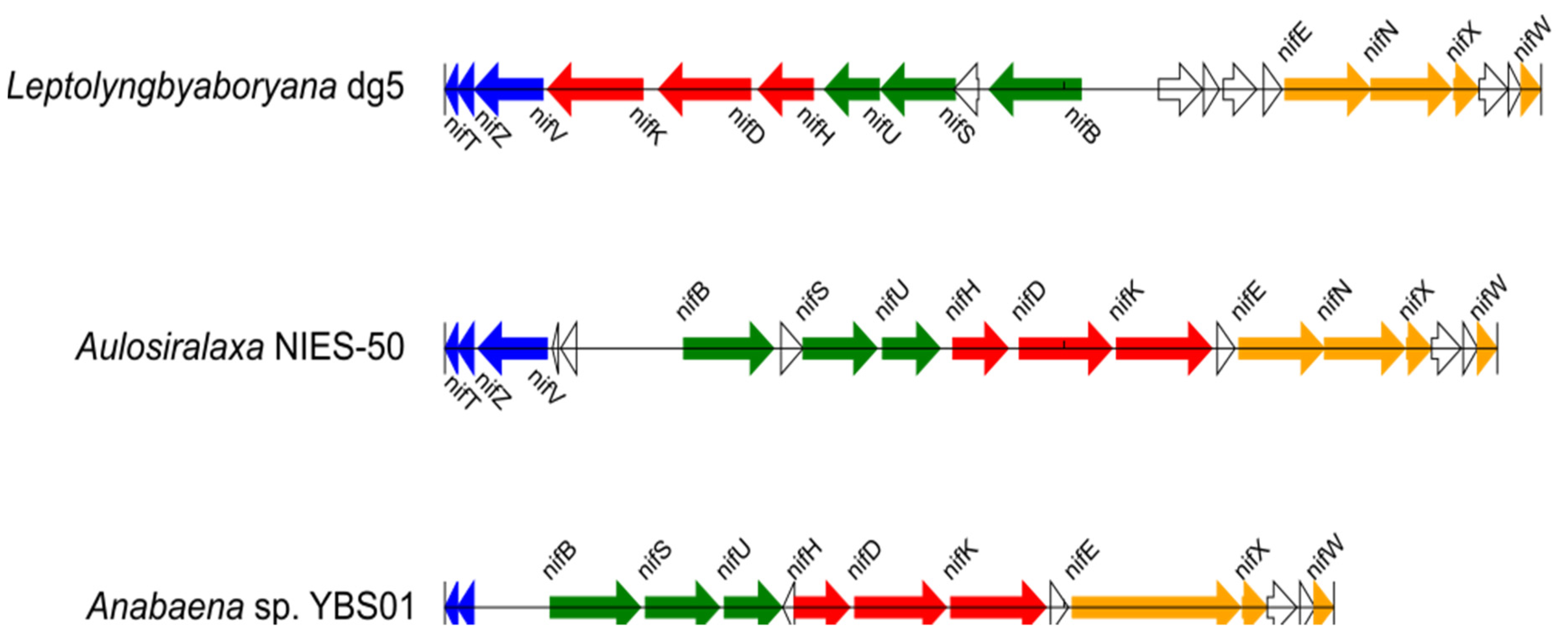 Biology 10 00329 g002 Biology 10 00329 g002